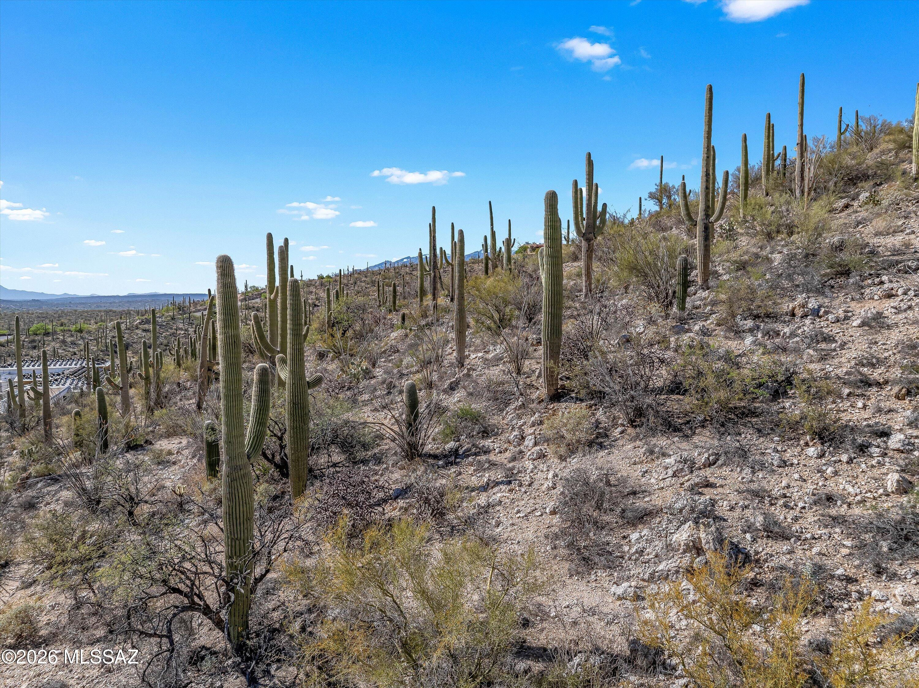 Rinconado Estates (1-13) - Land