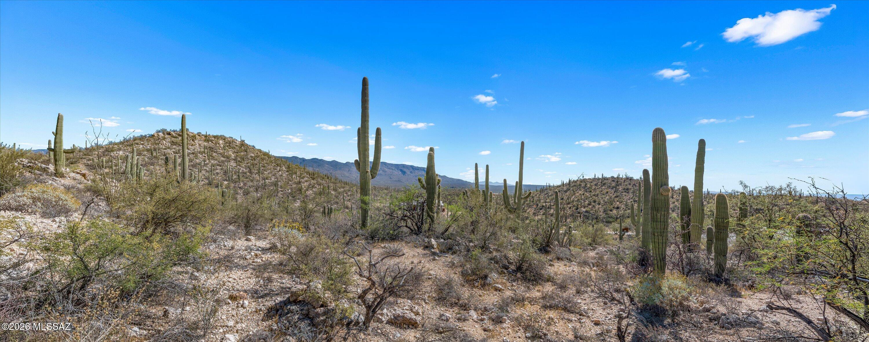 Rinconado Estates (1-13) - Land