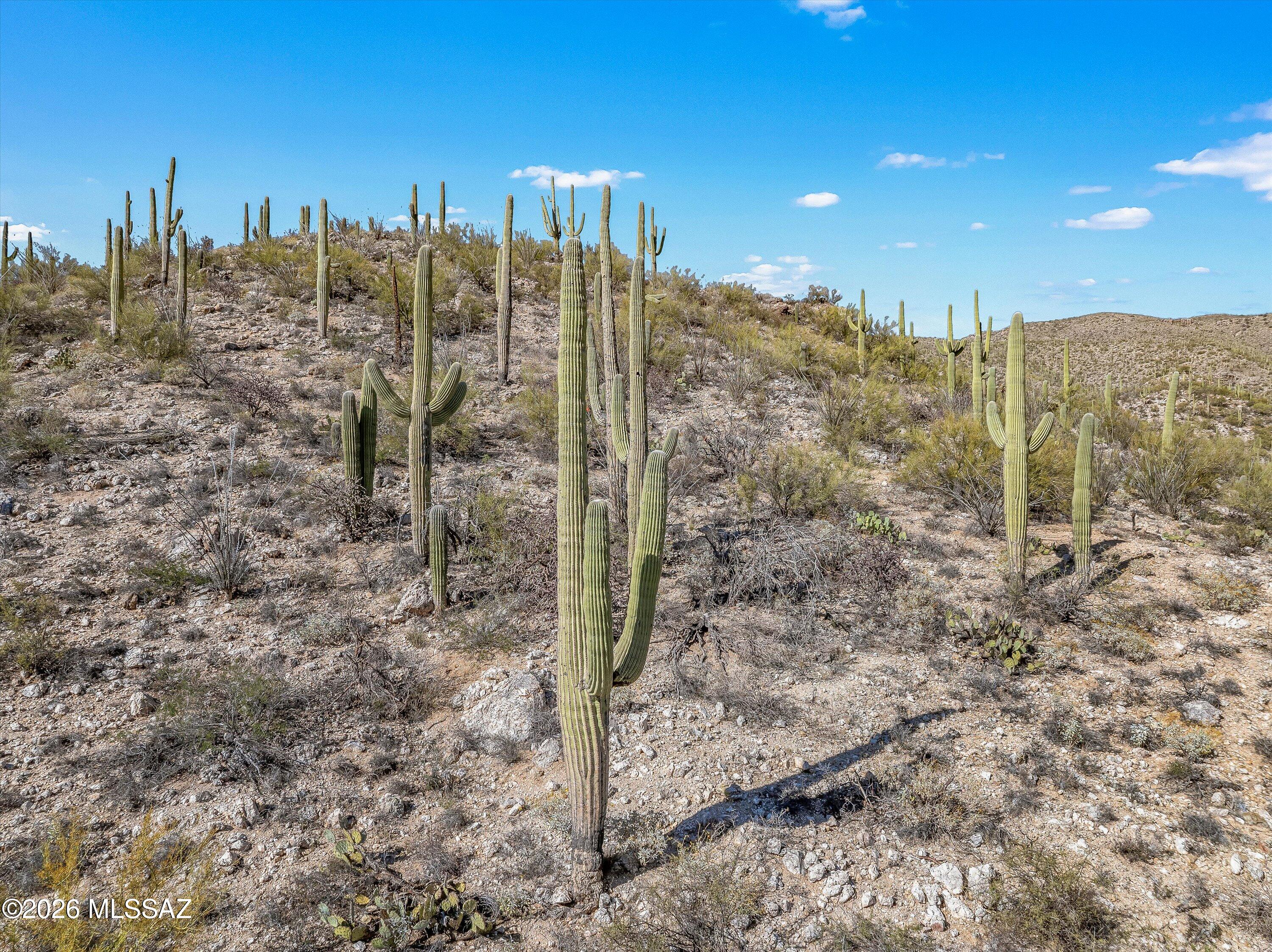 Rinconado Estates (1-13) - Land