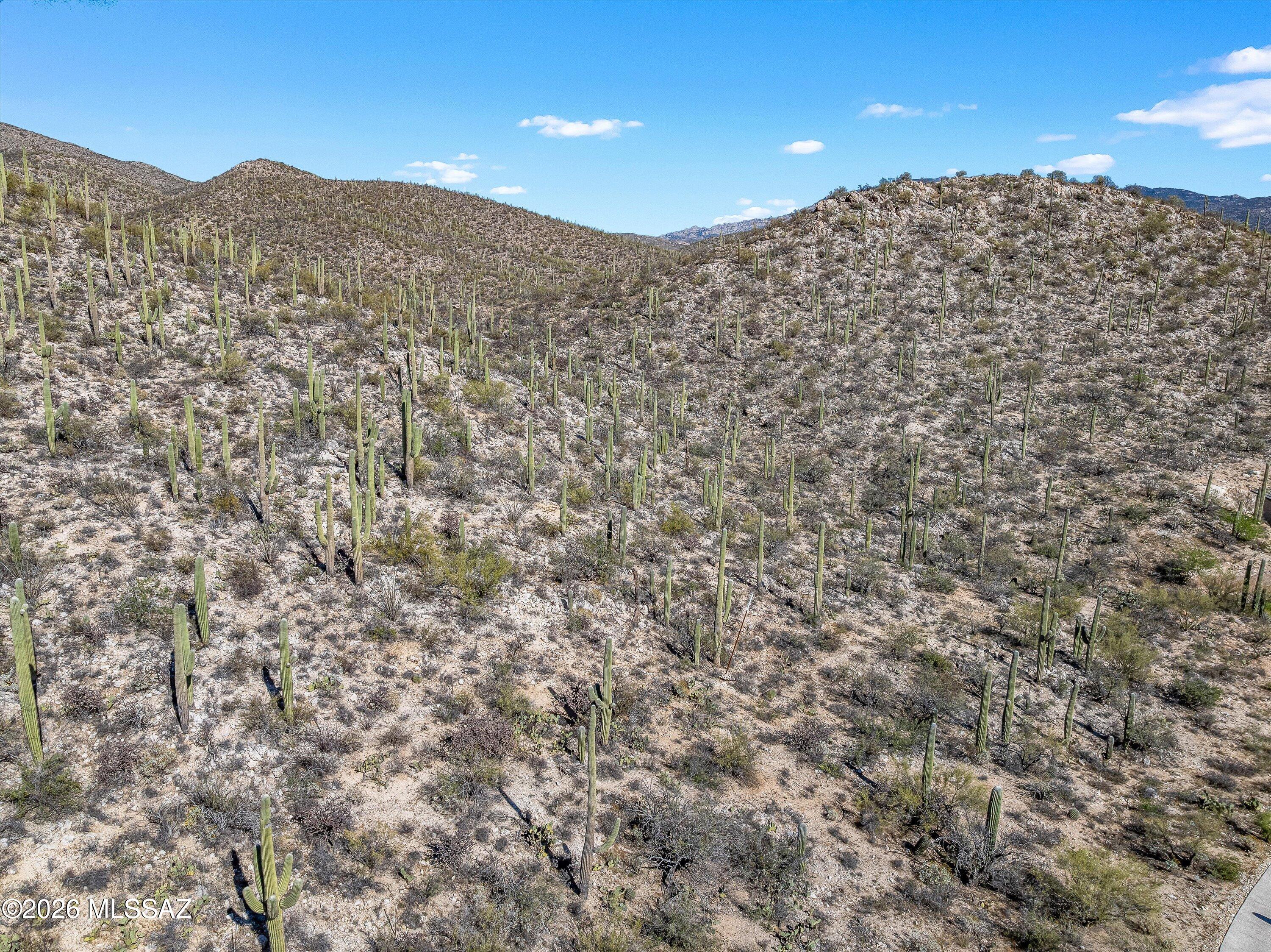 Rinconado Estates (1-13) - Land