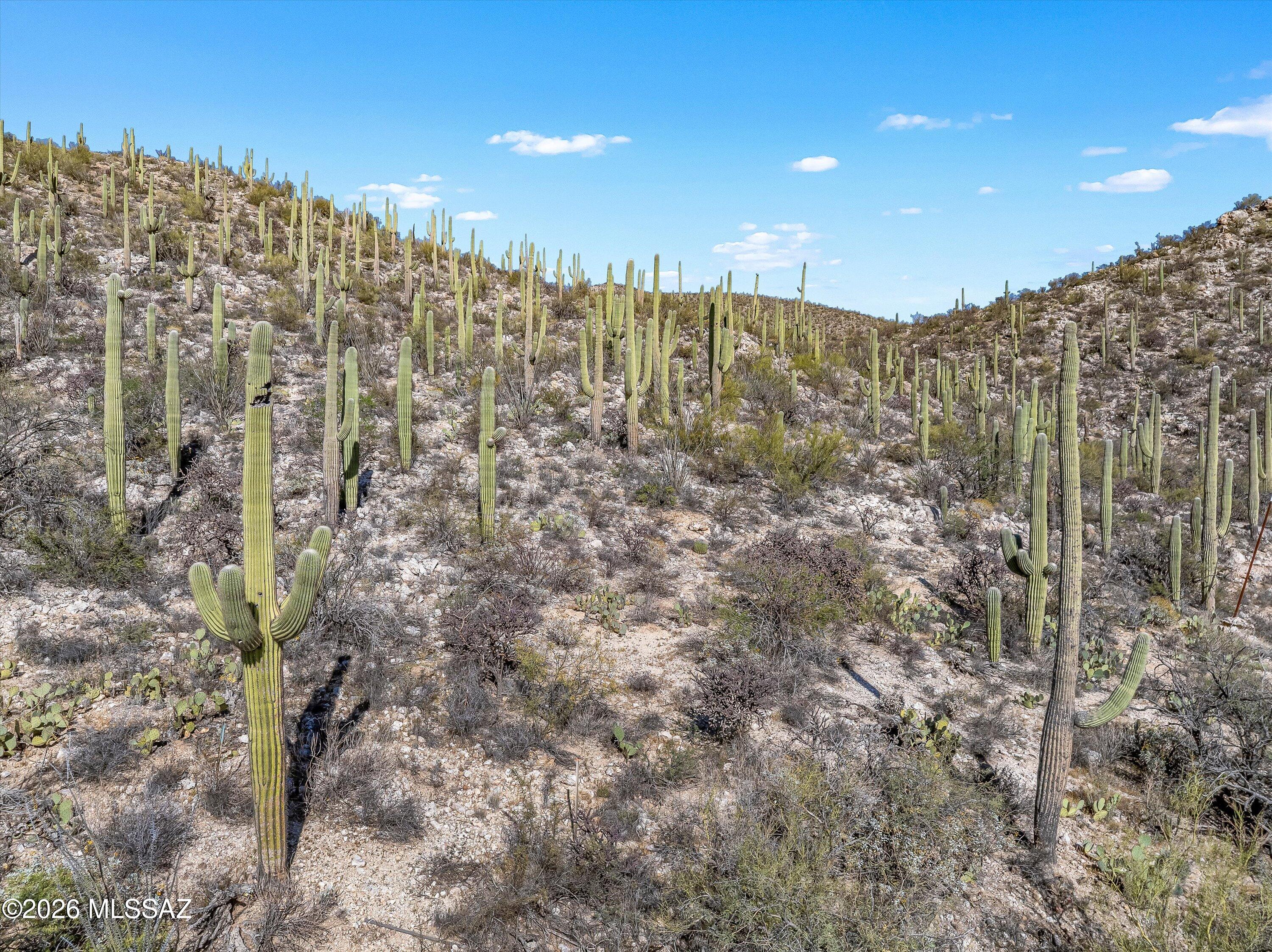 Rinconado Estates (1-13) - Land