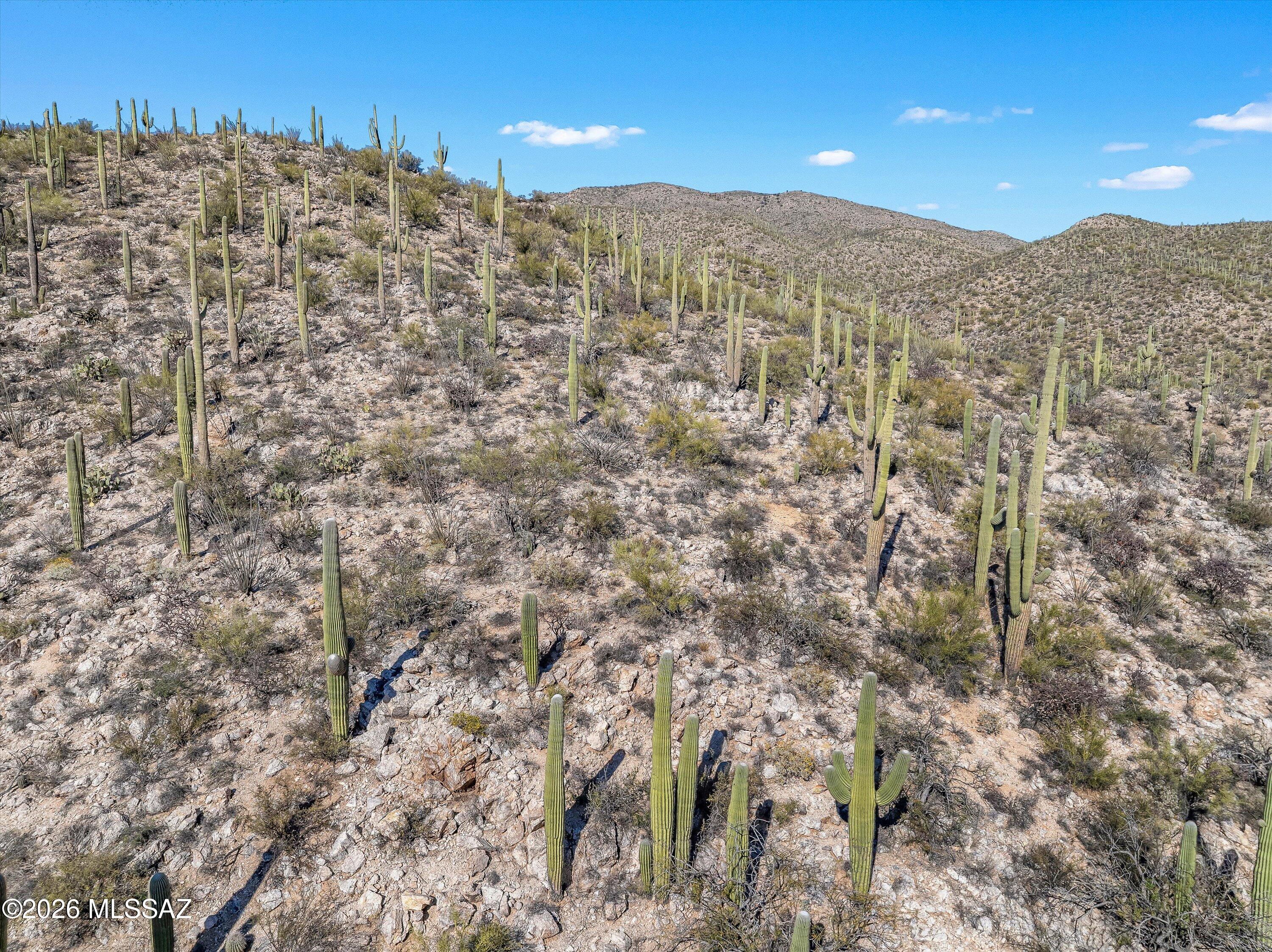 Rinconado Estates (1-13) - Land