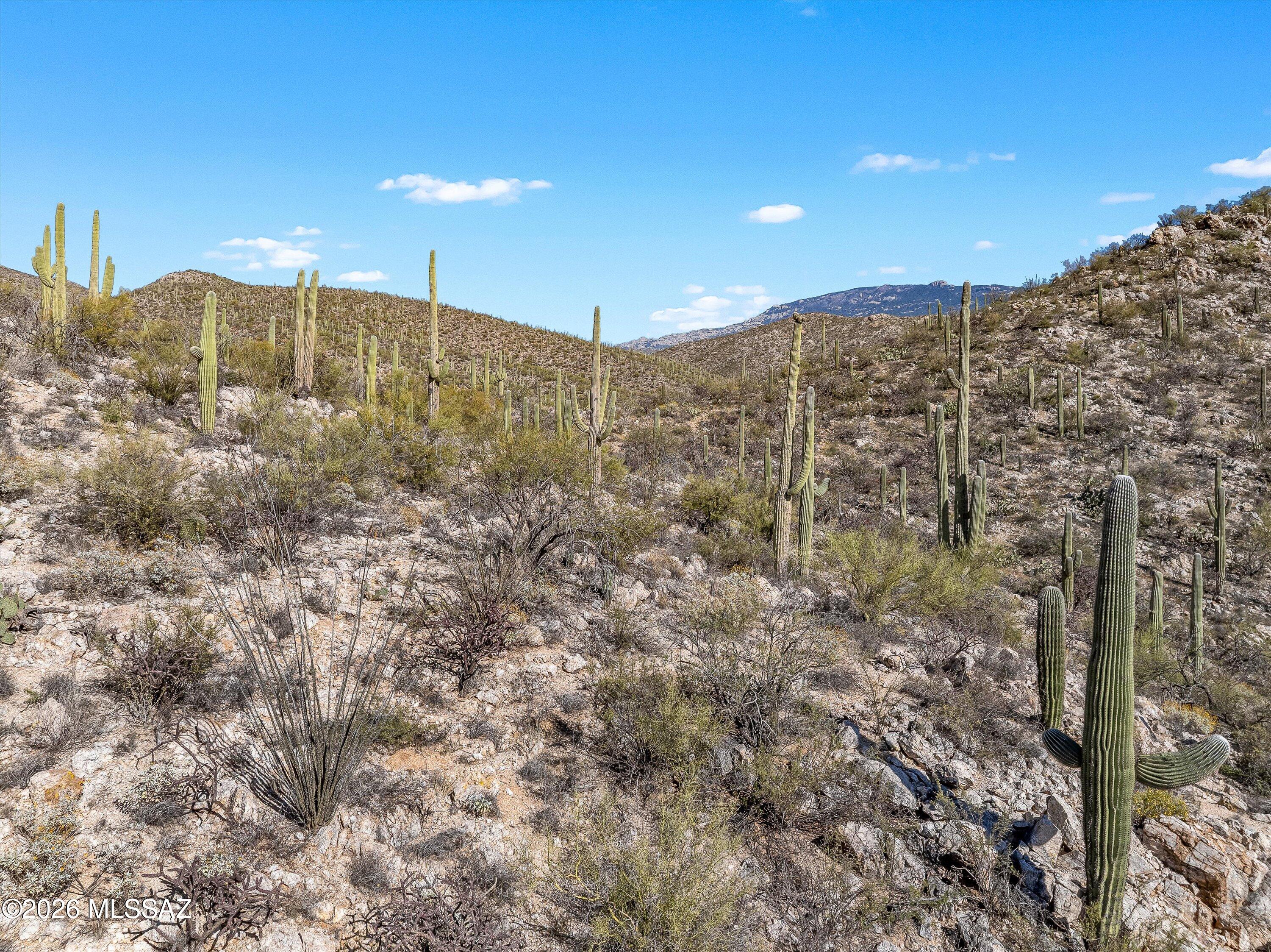 Rinconado Estates (1-13) - Land