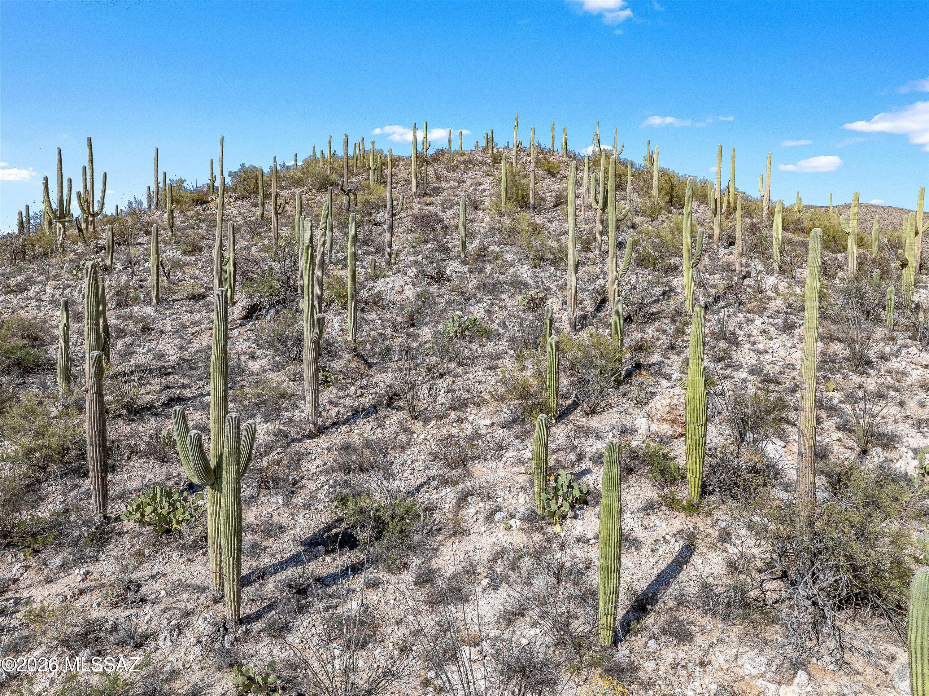 Rinconado Estates (1-13) - Land