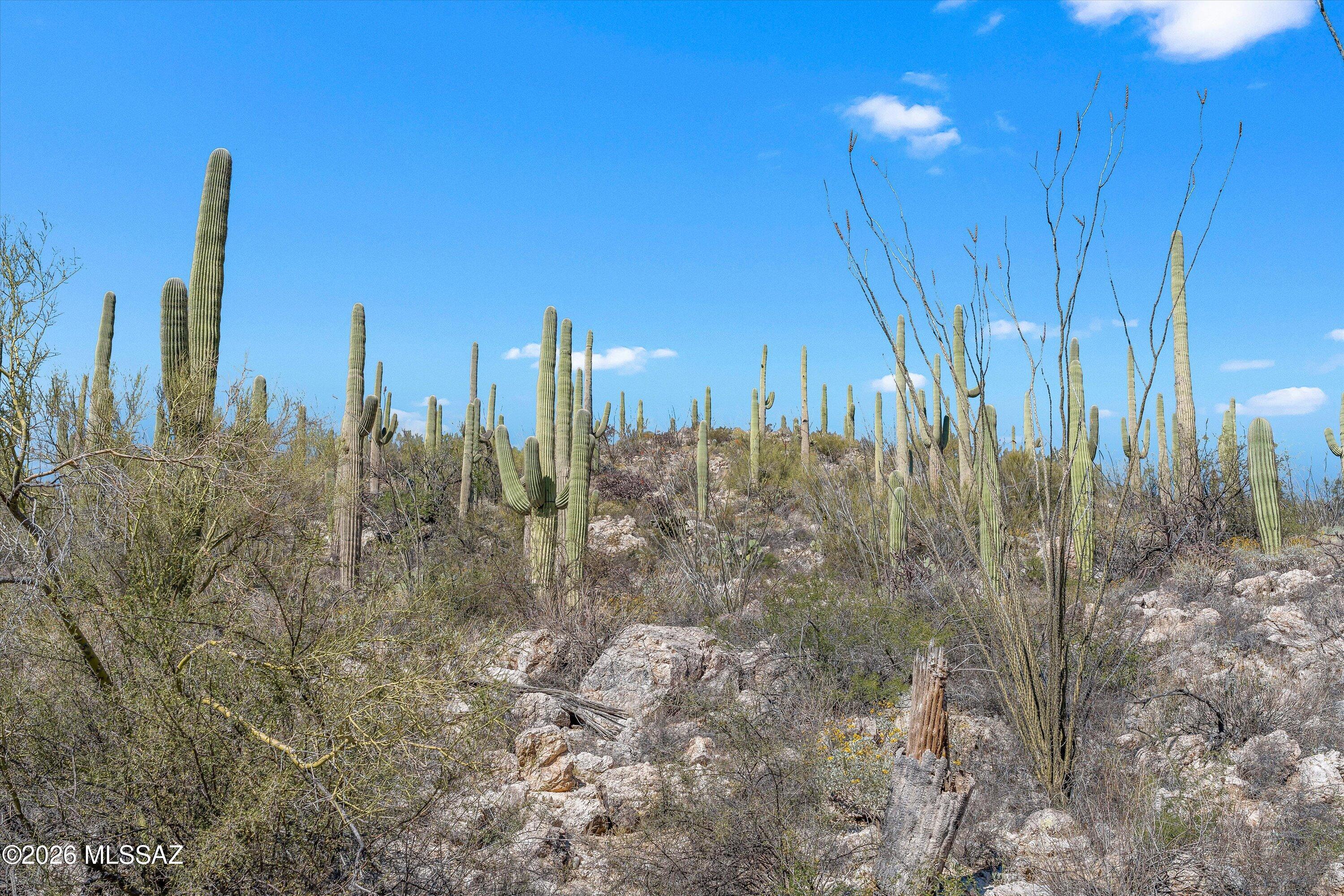 Rinconado Estates (1-13) - Land