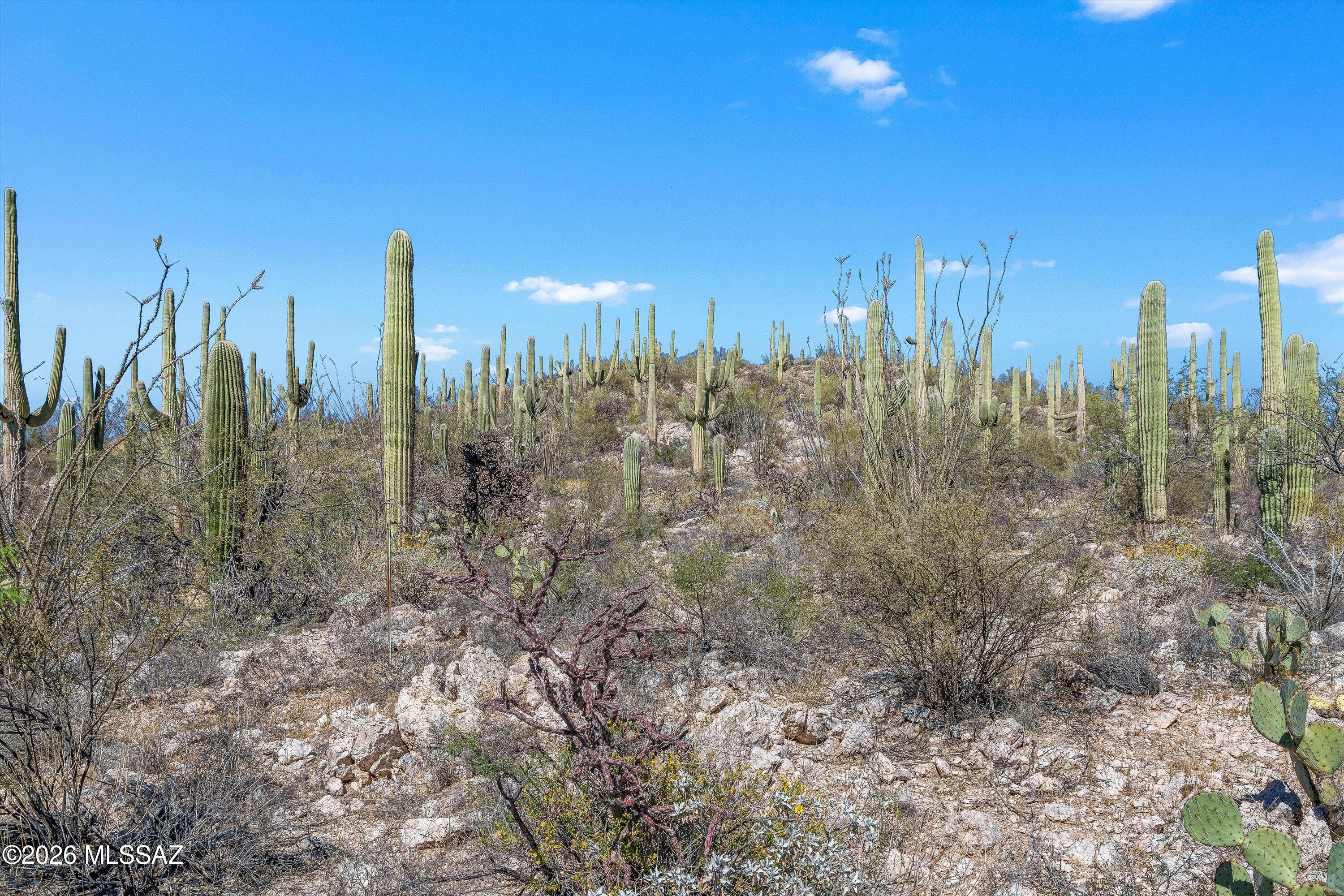 Rinconado Estates (1-13) - Land