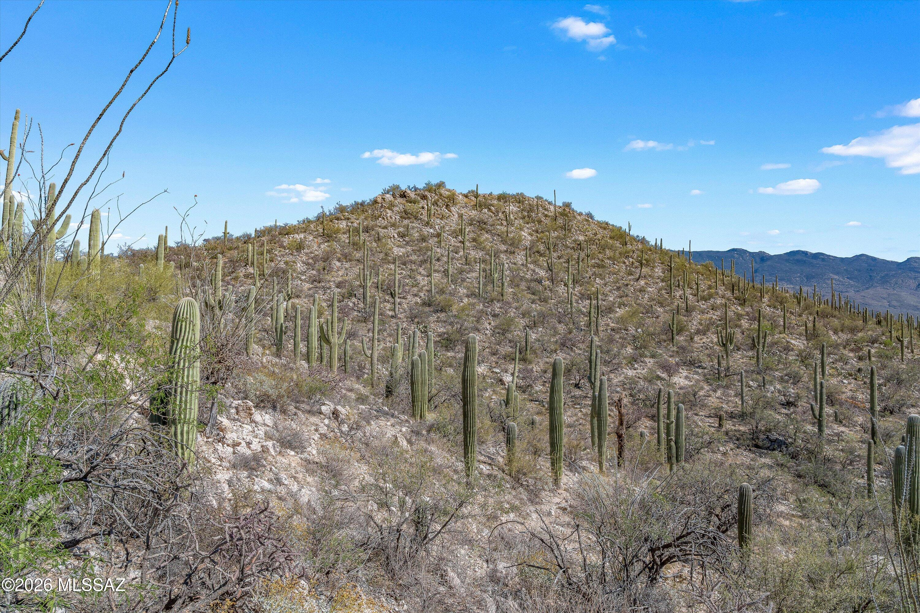 Rinconado Estates (1-13) - Land