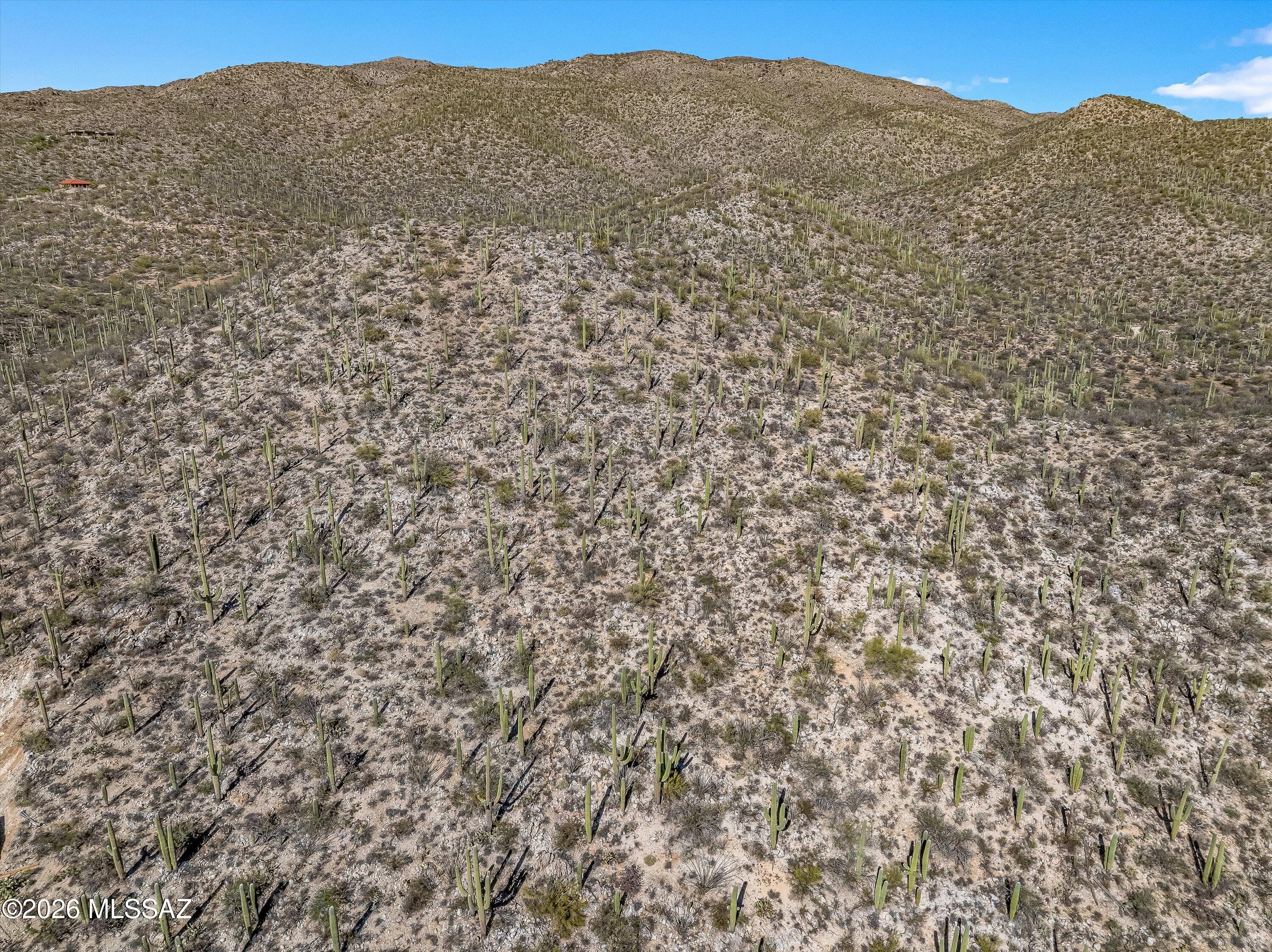 Rinconado Estates (1-13) - Land