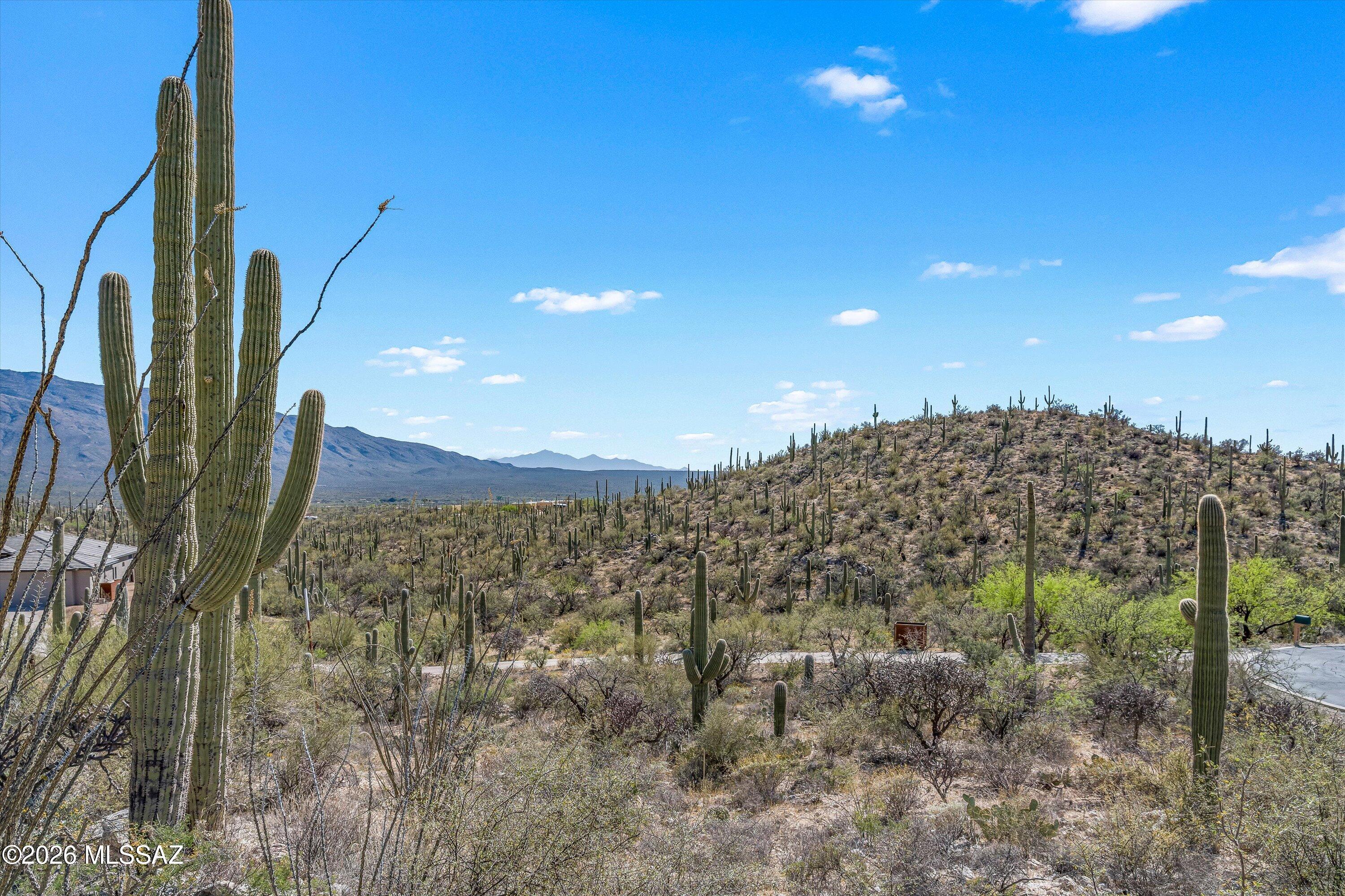 Rinconado Estates (1-13) - Land