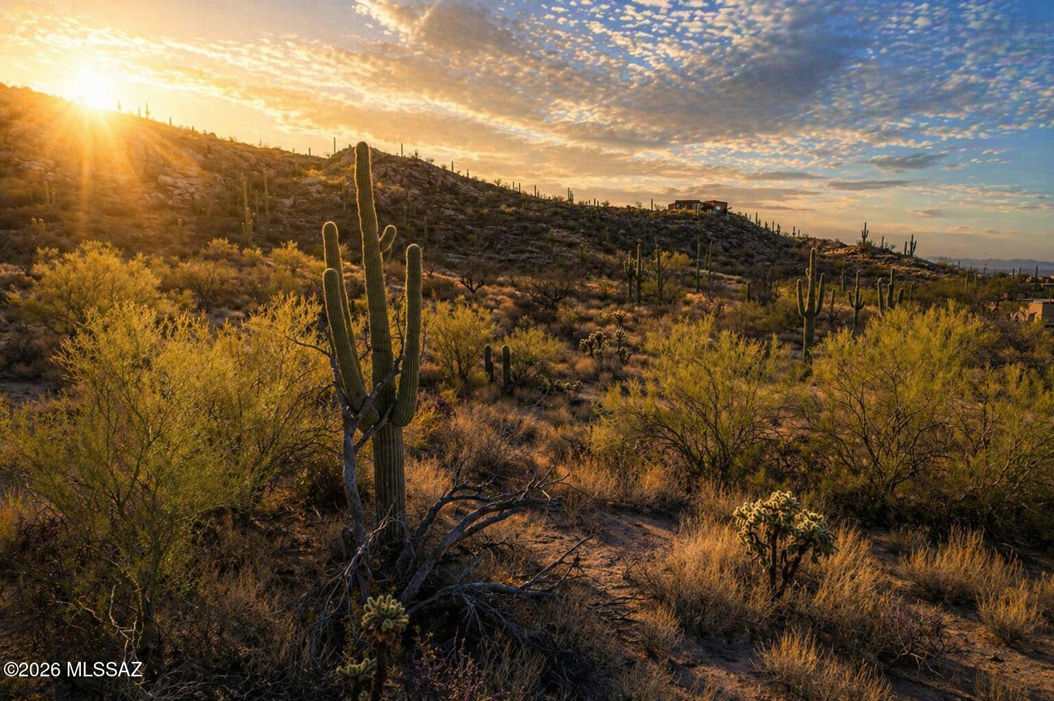 Thunderbird Trail Estates (1-11) - Land