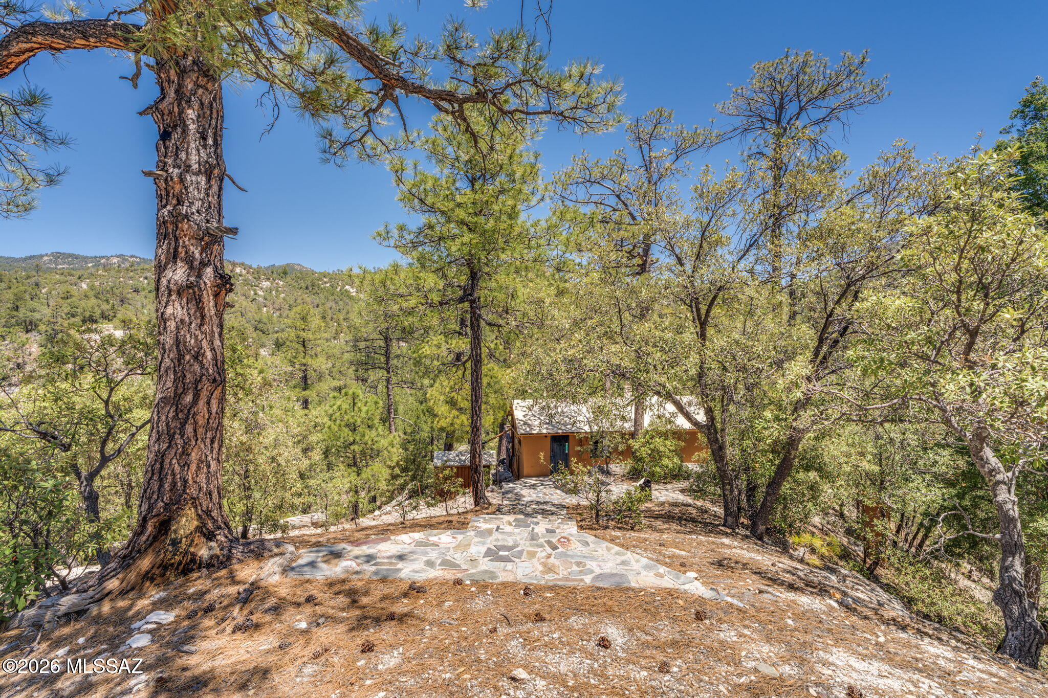 Willow Canyon - Residential