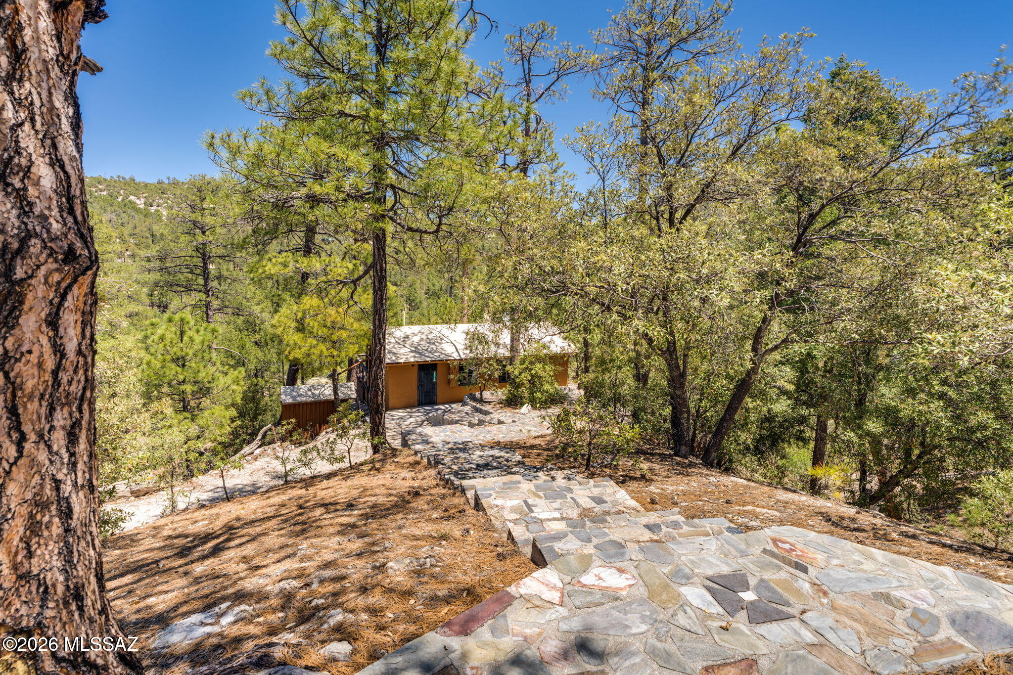 Willow Canyon - Residential