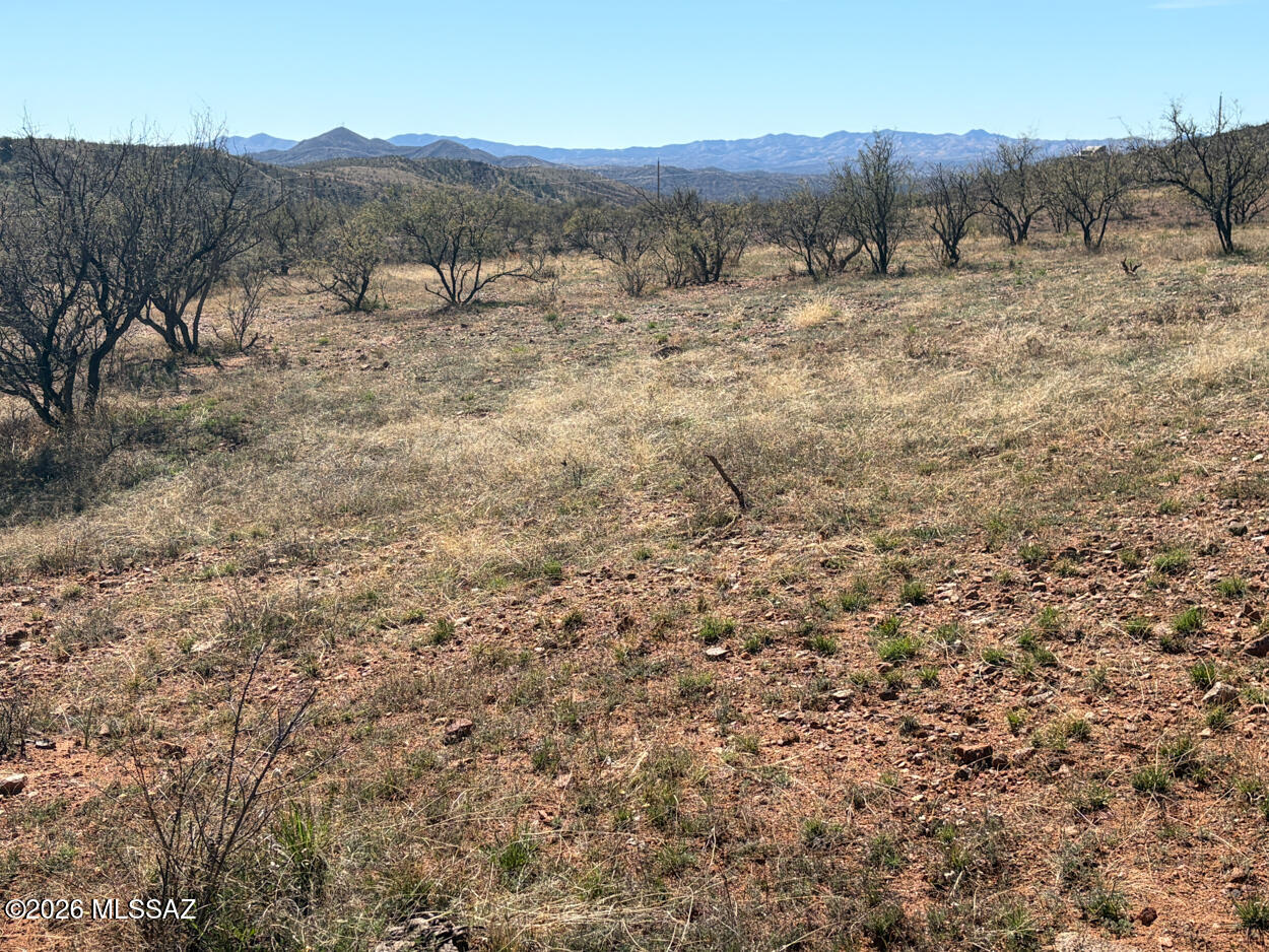 Lake Patagonia Ranch - Land