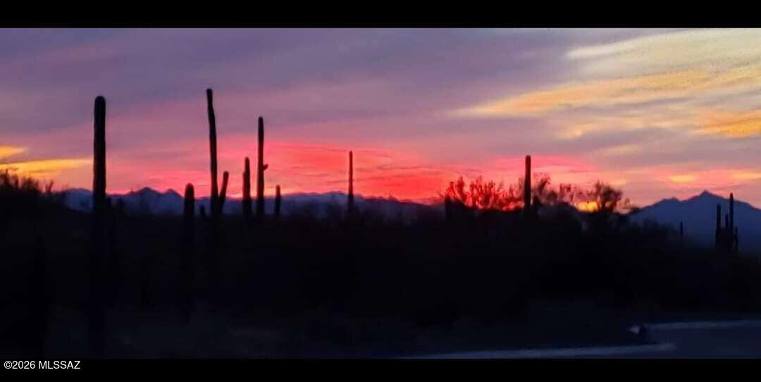 Del Webb At Dove Mountain VI - Residential