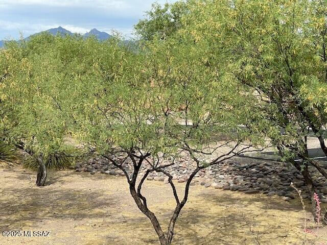 Barrio Trails Head - Residential