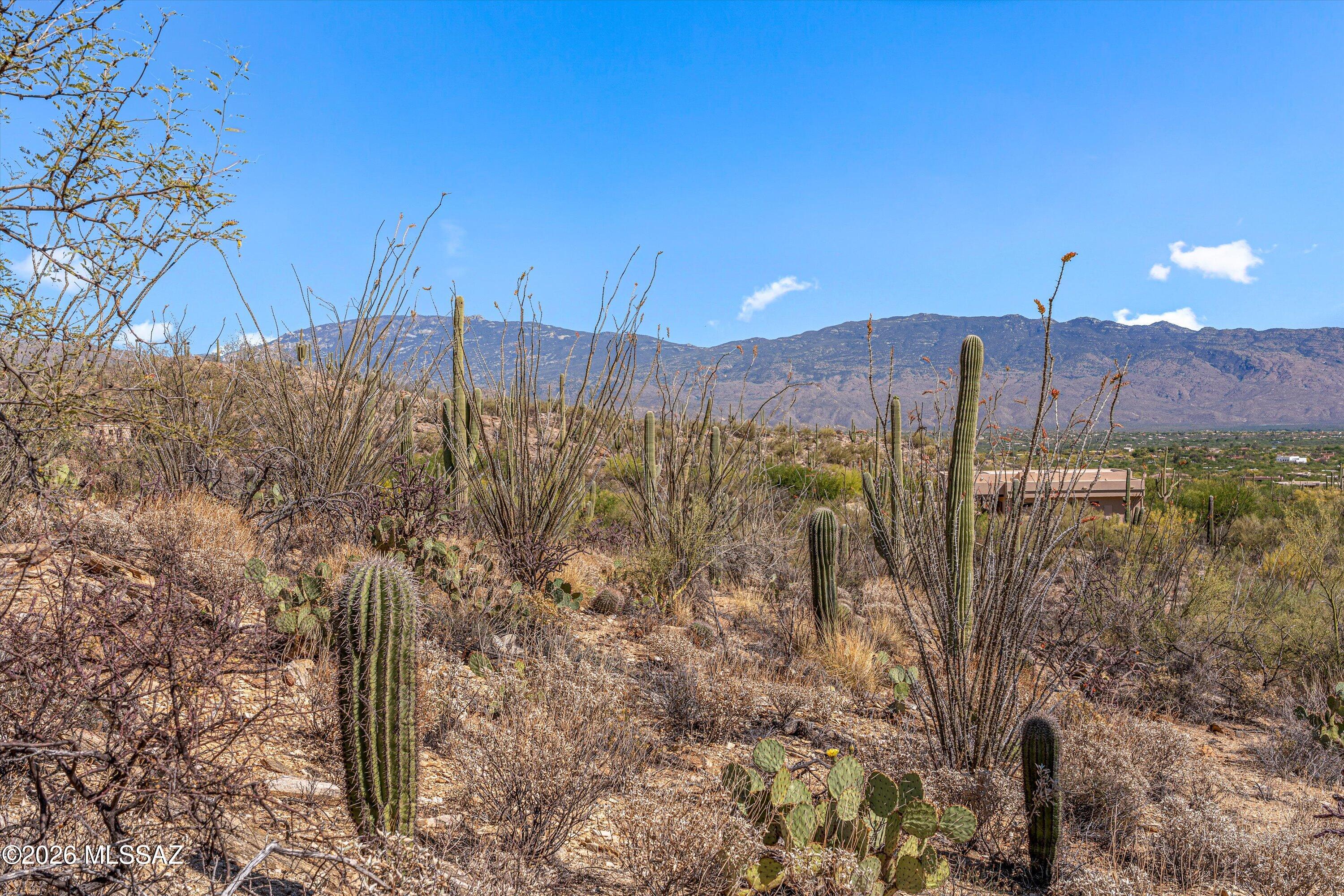 5400 N Avenida De La Colina 16