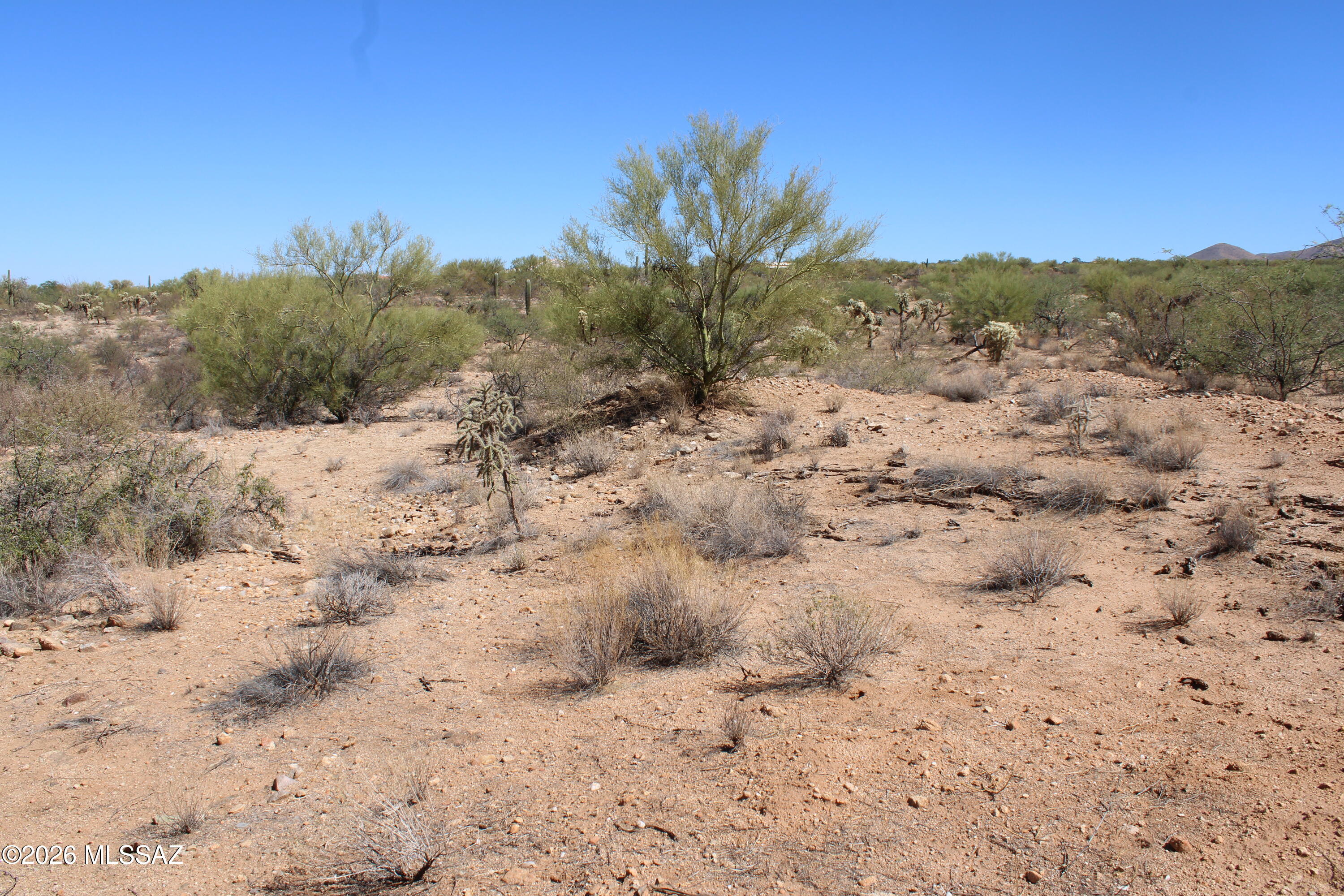 14243 S Shaw Road 331