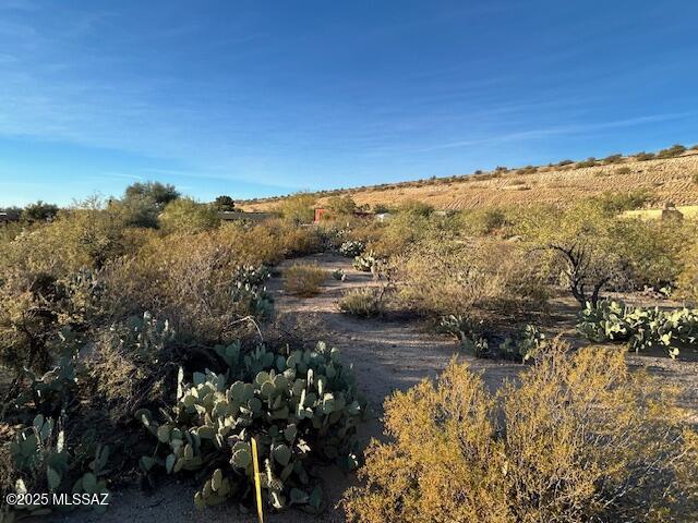Rancho Buena Vista (30-69) - Land