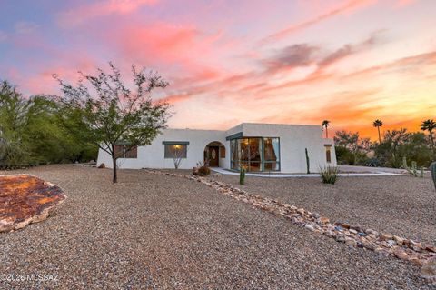 1141 W Sahara Palms Drive Tucson AZ 85704