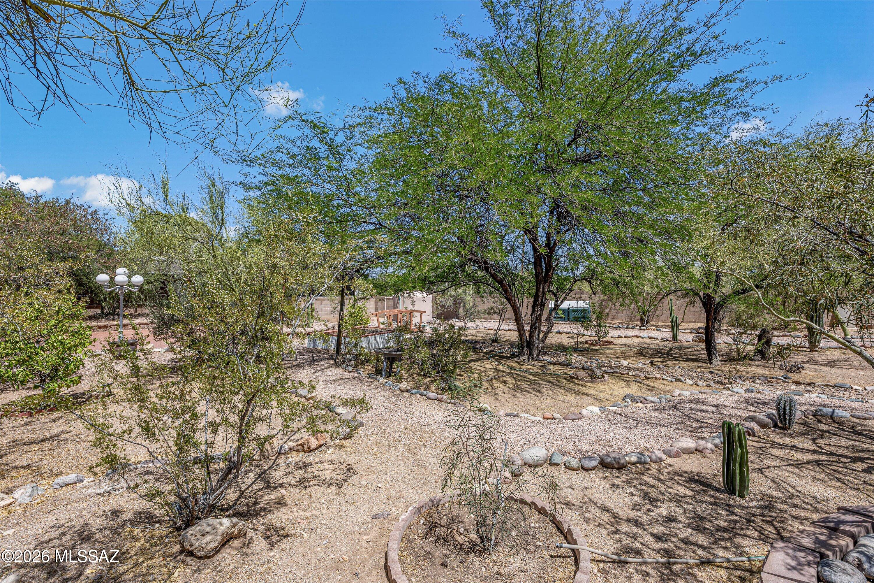 Sahuaros Grandes Amended - Residential