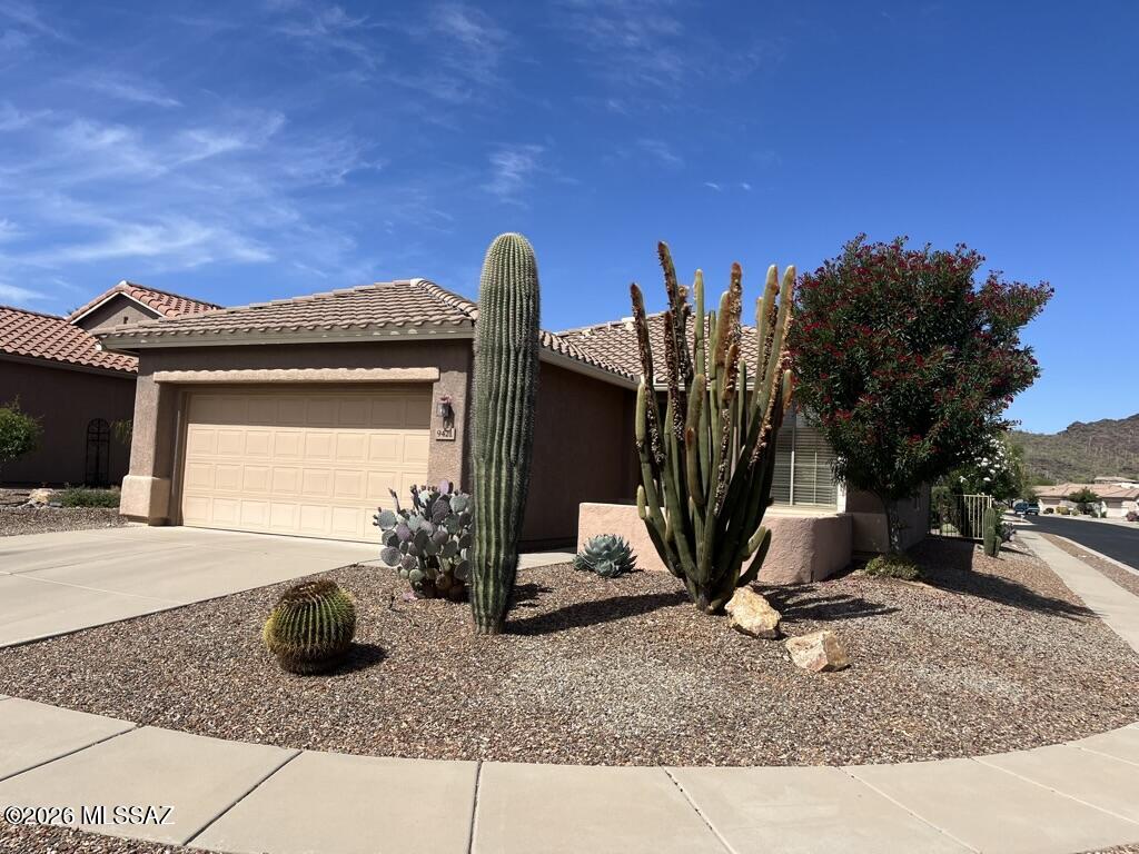 Continental Ranch Sunflower - Residential Lease
