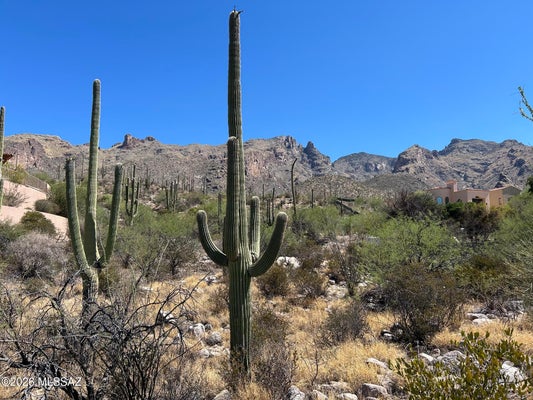 7128 N MERCER SPRING PL # 151, TUCSON, AZ 85718 - Image e1e2d5caac65a76c33a2172237b5de6e/3833693890