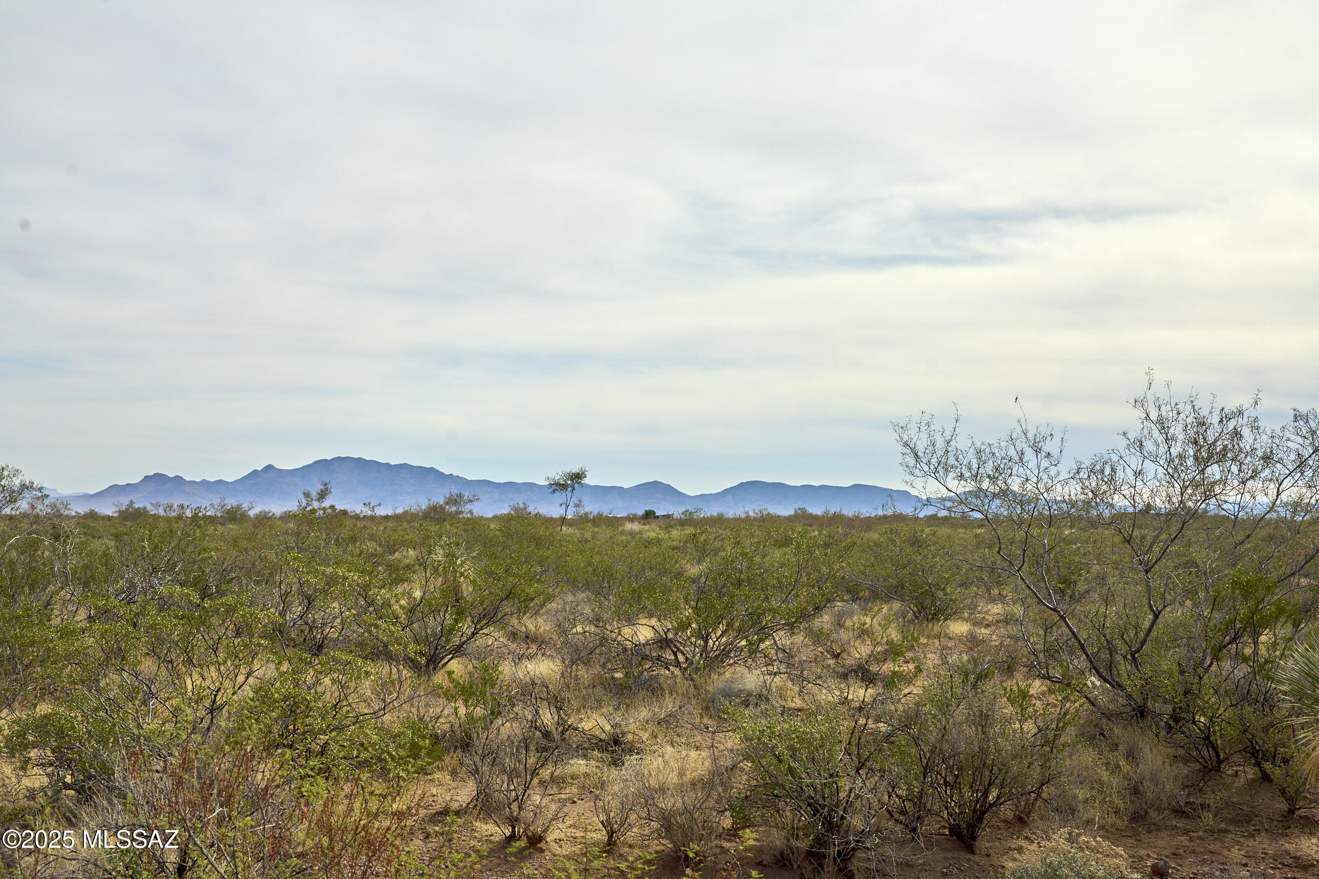 Out Of Pima County - Land