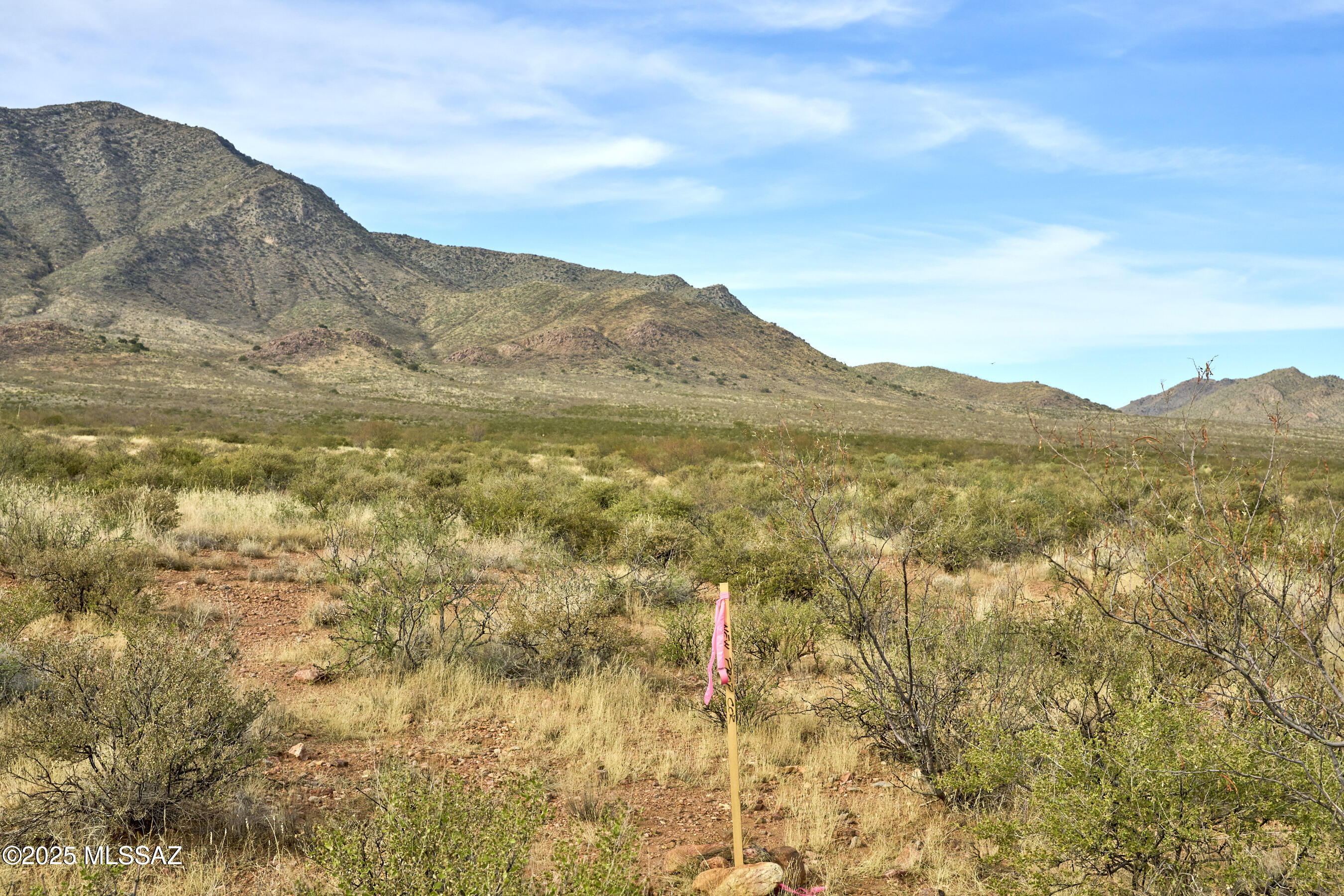 Out Of Pima County - Land