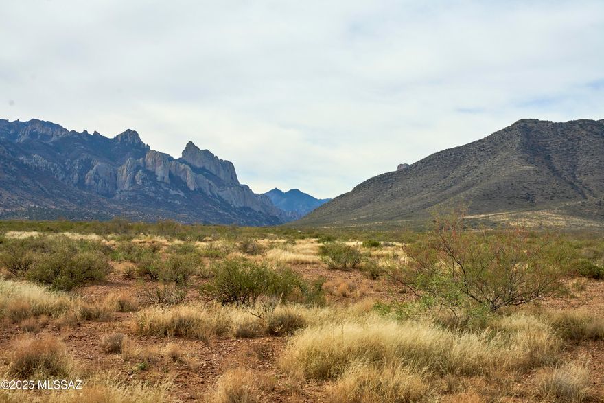 Buildable 7 acre lot and dark skies! Just off county maintained road, North of astronomy development Arizona Sky Village. County lighting code and deed restrictions protect our dark skies. Epic mountain views and remarkable sunrise and sunsets await!  No HOA. 1600 ft to grid power, ideal off grid location.  2 miles to Portal with cafe & country store, library, hiking and birding in the Coronado National Forest. Shopping 60 miles in Douglas, 70 in Willcox, hardware/ranch supplies in Animas NM and San Simon, 25 mi. Drill well, install septic.