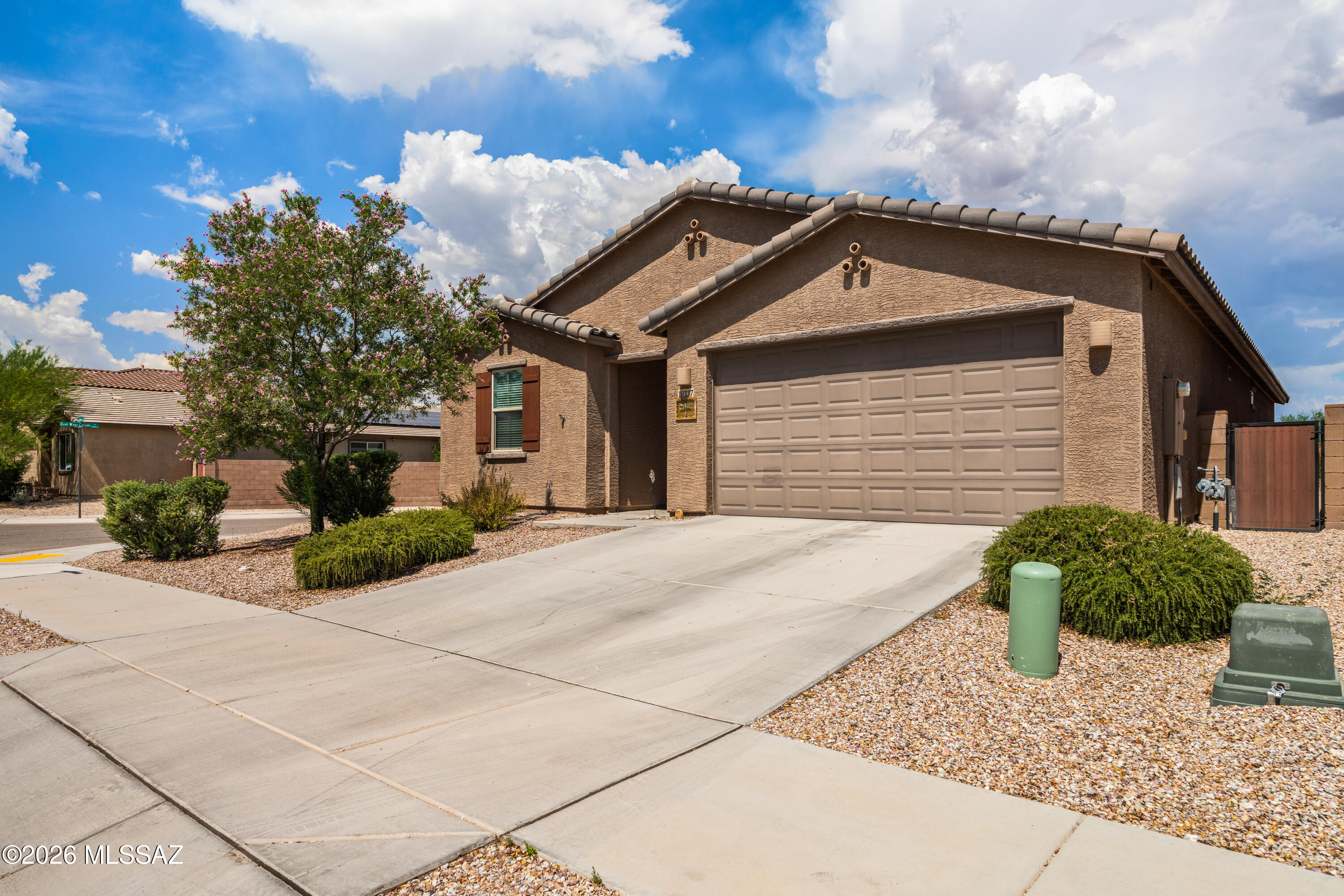 10337 S Pantano Knolls Drive