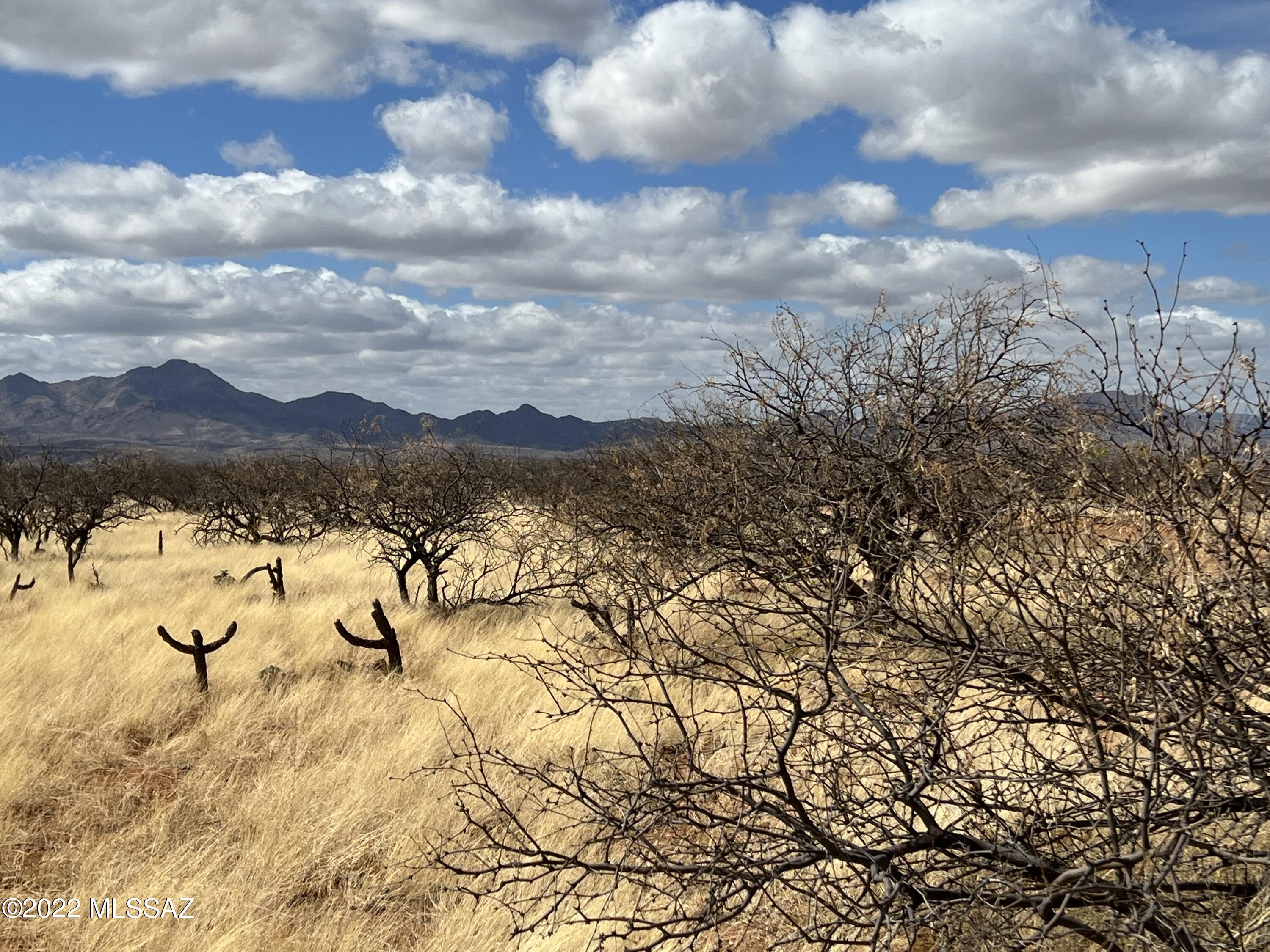 Tubac Foothills Ranch - Land