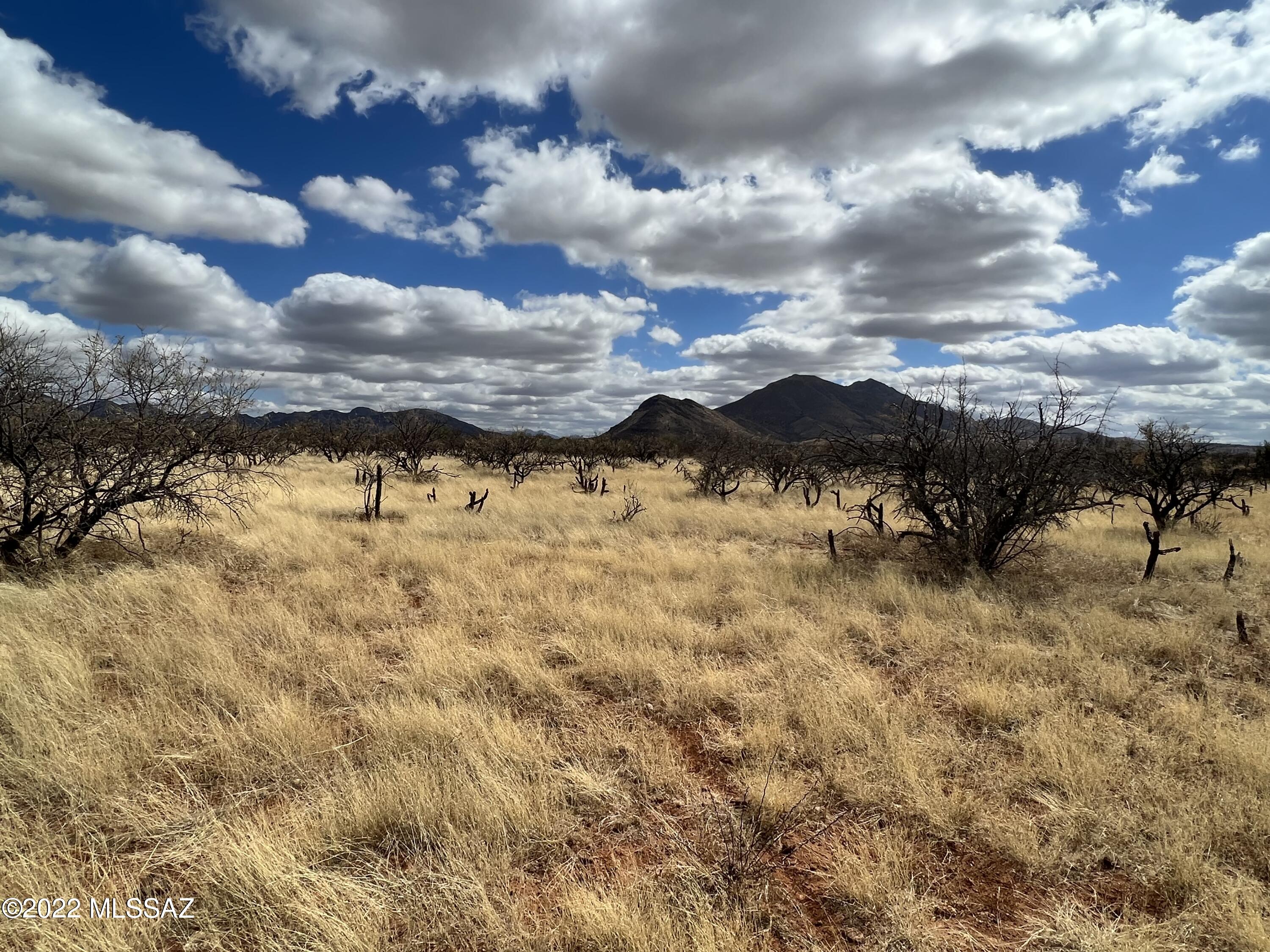 Tubac Foothills Ranch - Land