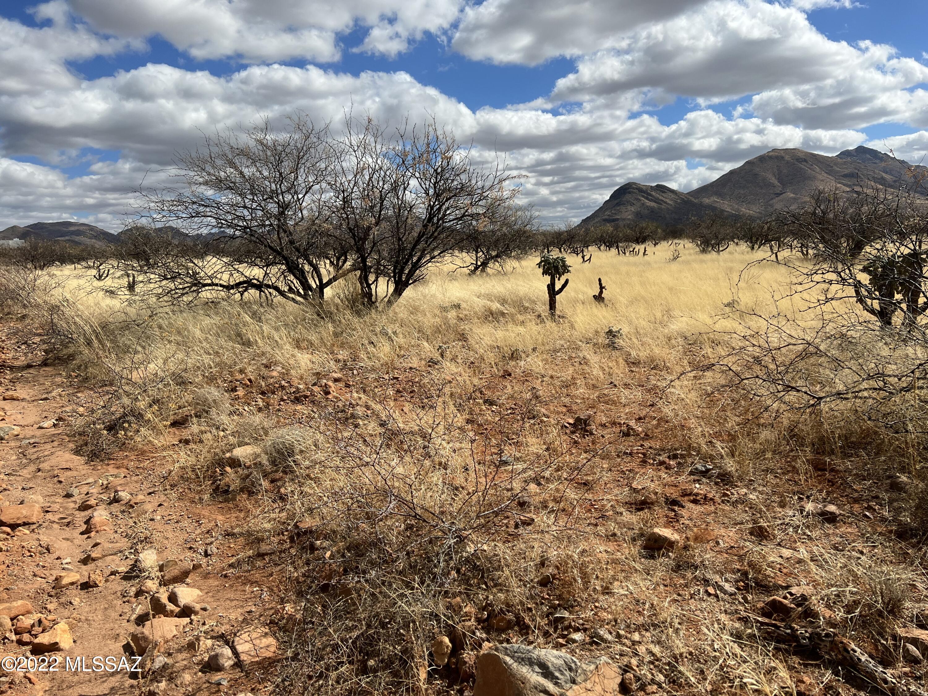Tubac Foothills Ranch - Land