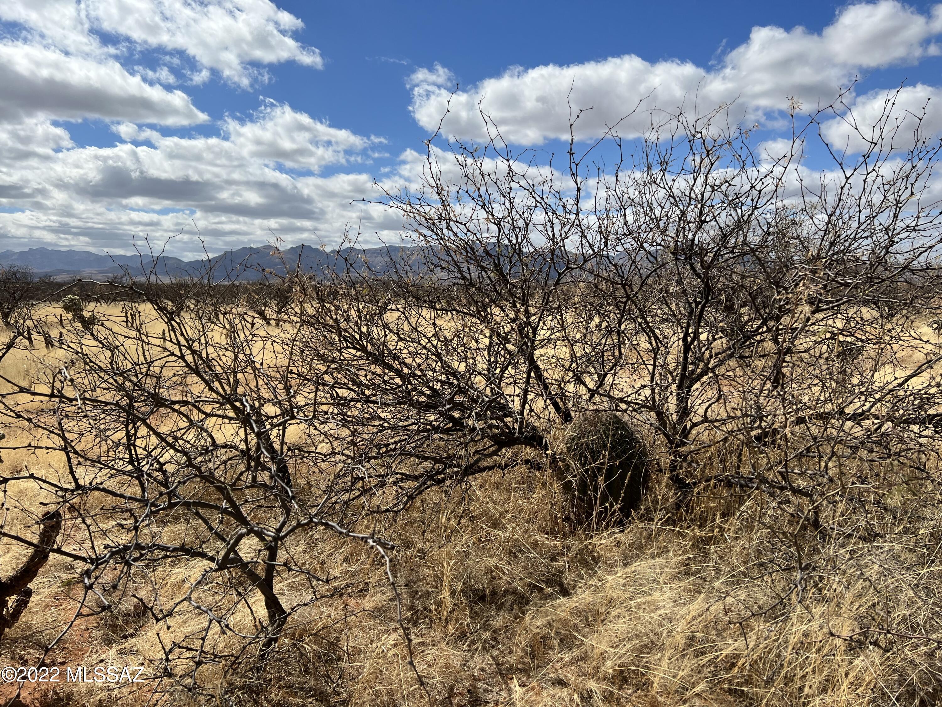 Tubac Foothills Ranch - Land