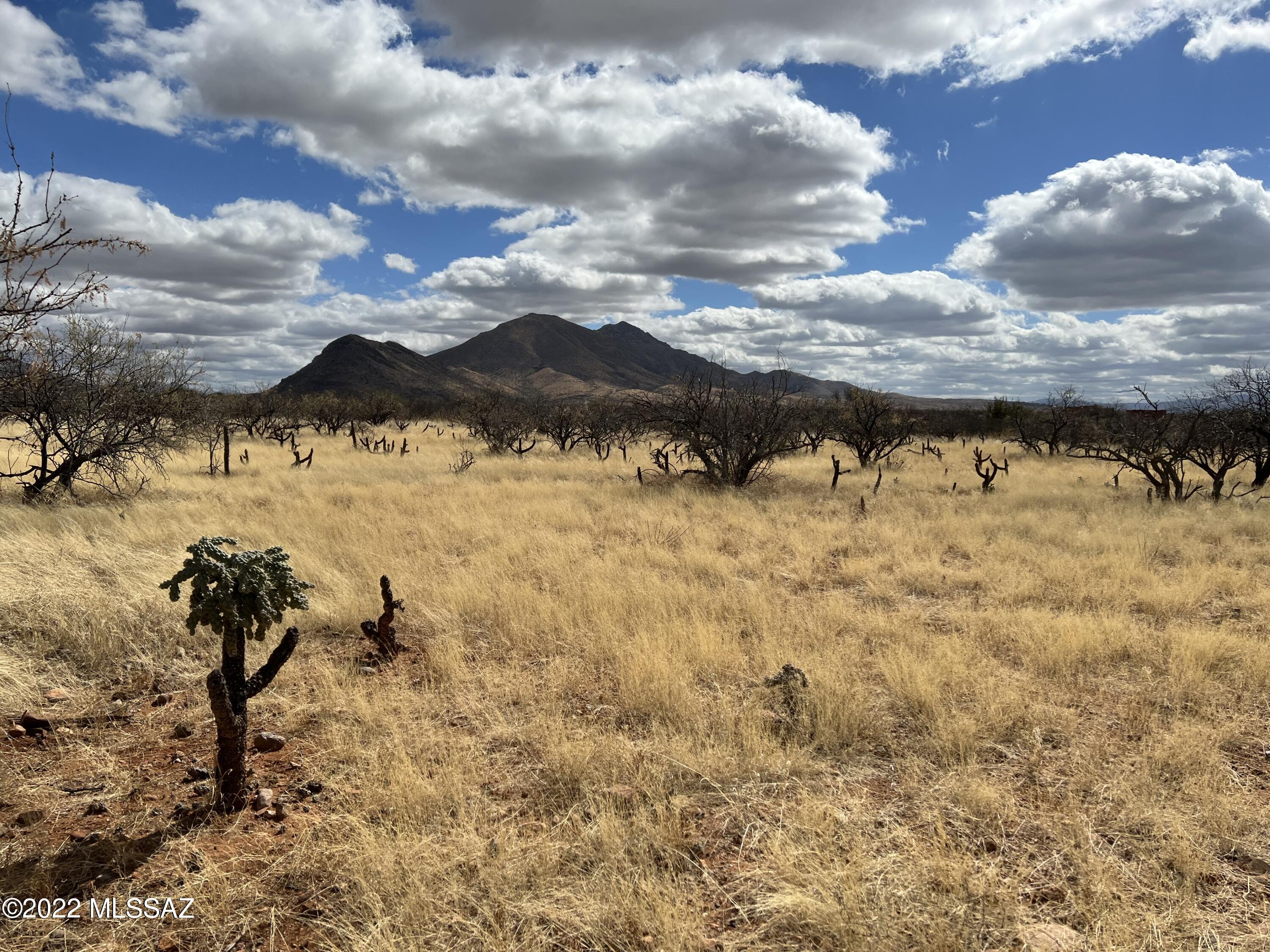 Tubac Foothills Ranch - Land