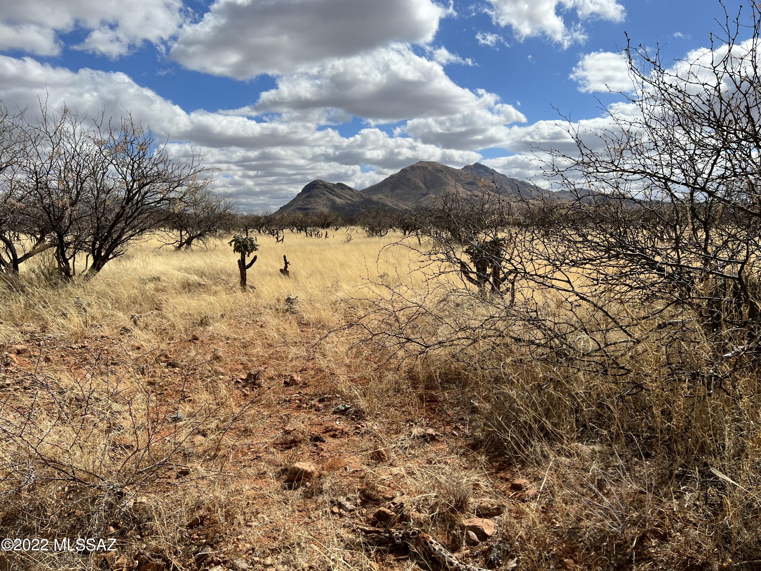 Tubac Foothills Ranch - Land