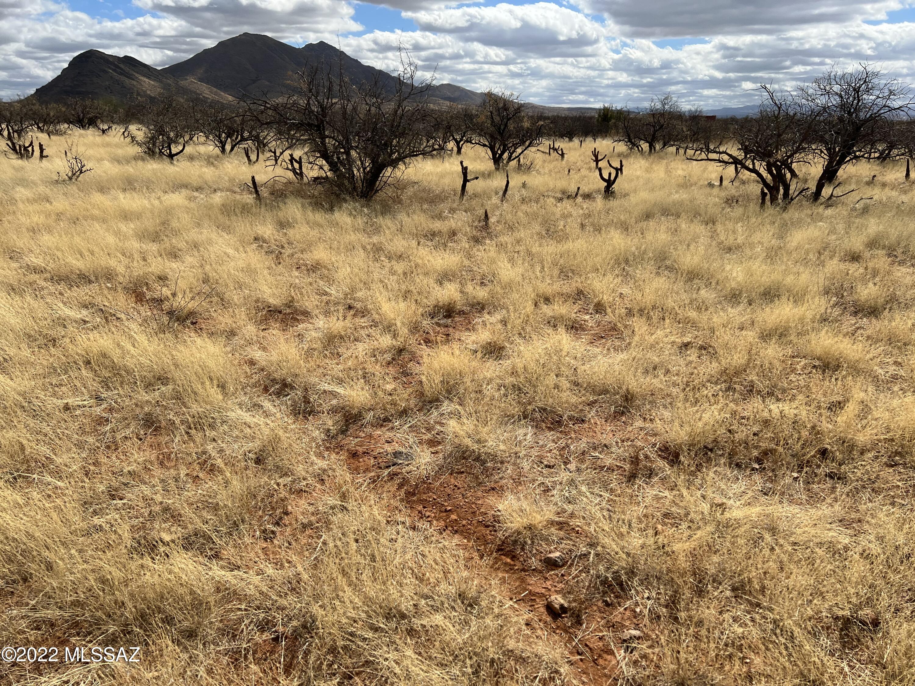 Tubac Foothills Ranch - Land