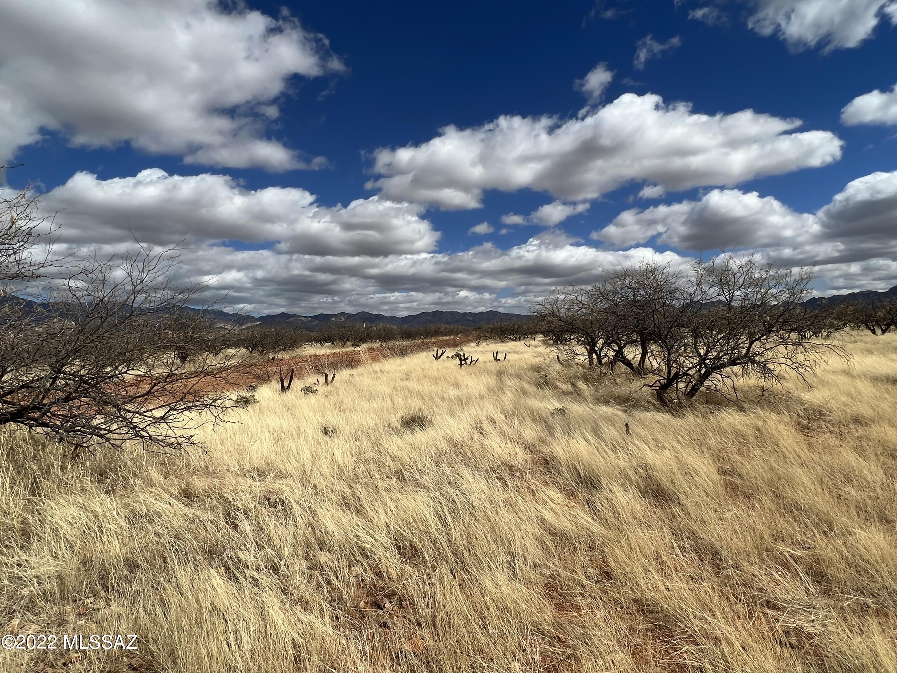 Tubac Foothills Ranch - Land
