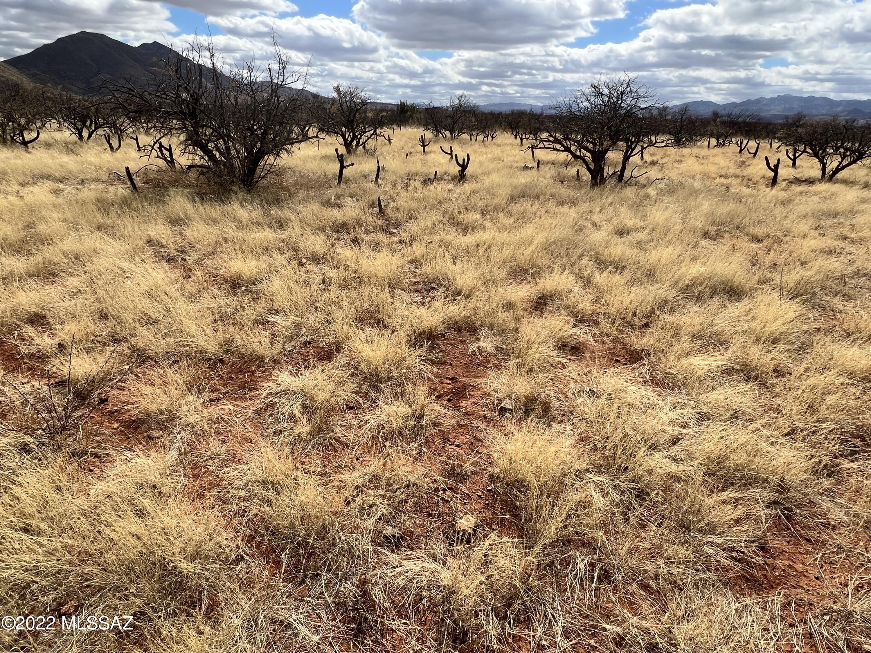 Tubac Foothills Ranch - Land