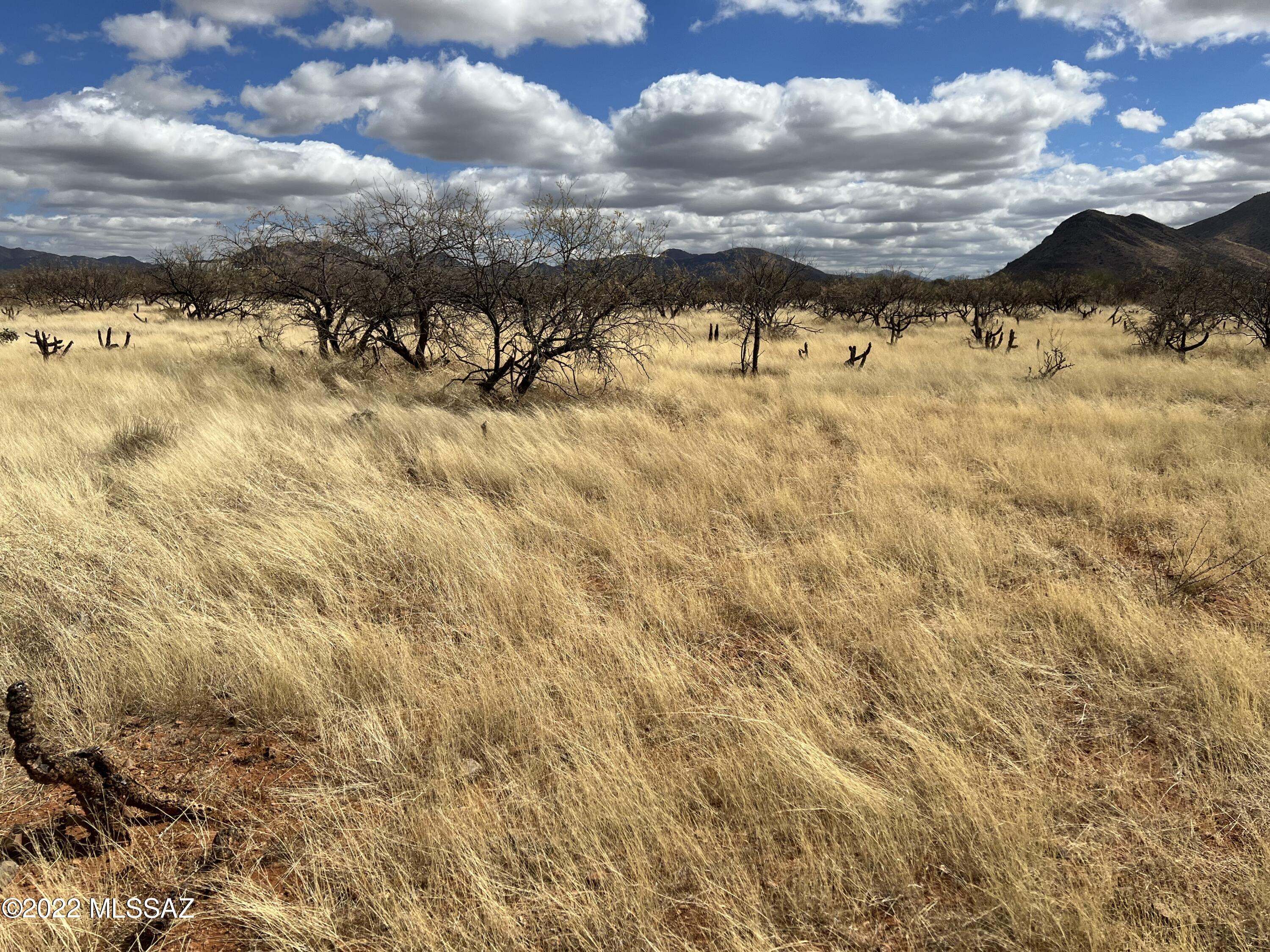 Tubac Foothills Ranch - Land