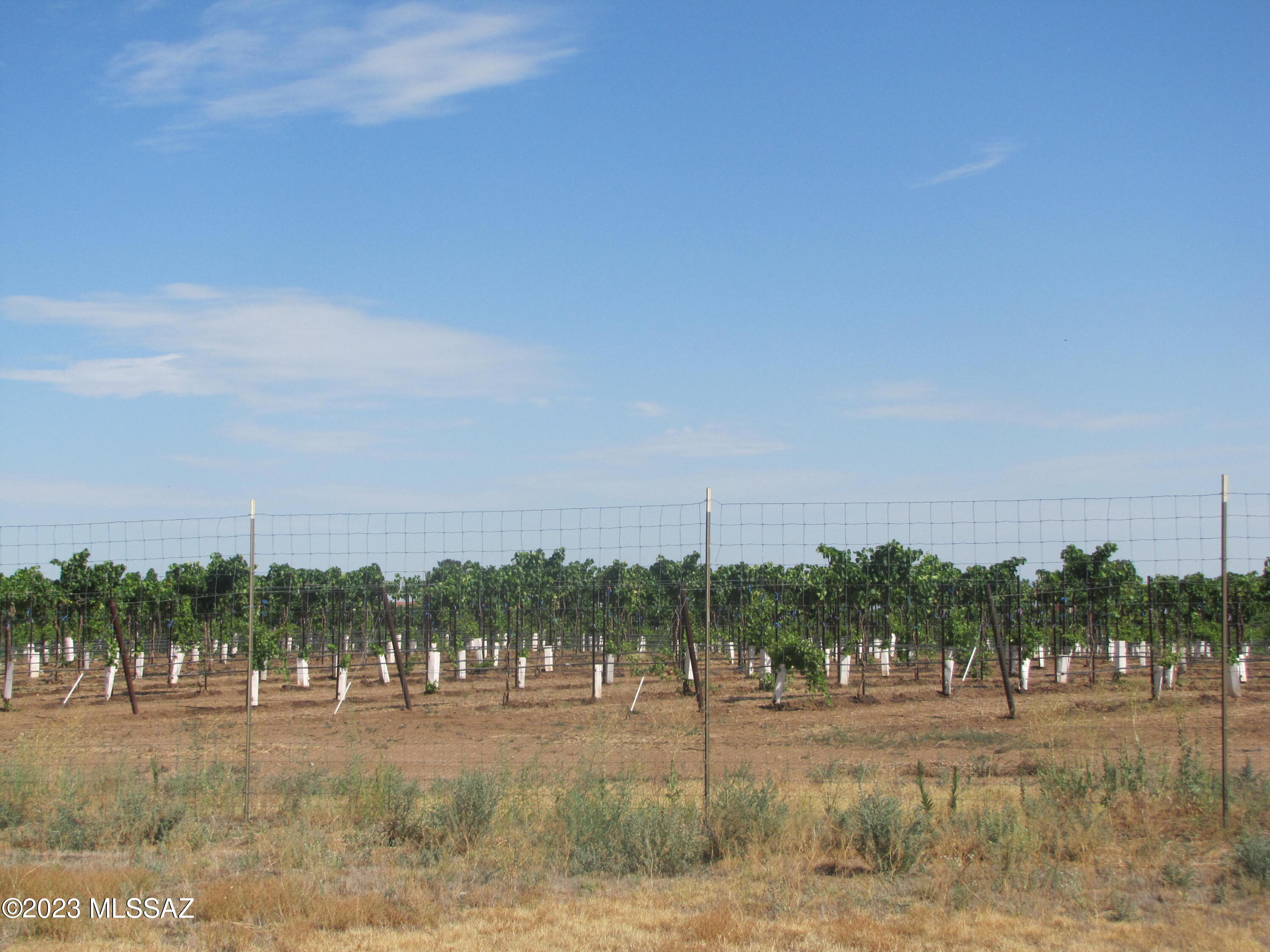 Arizona Sun Sites - Land