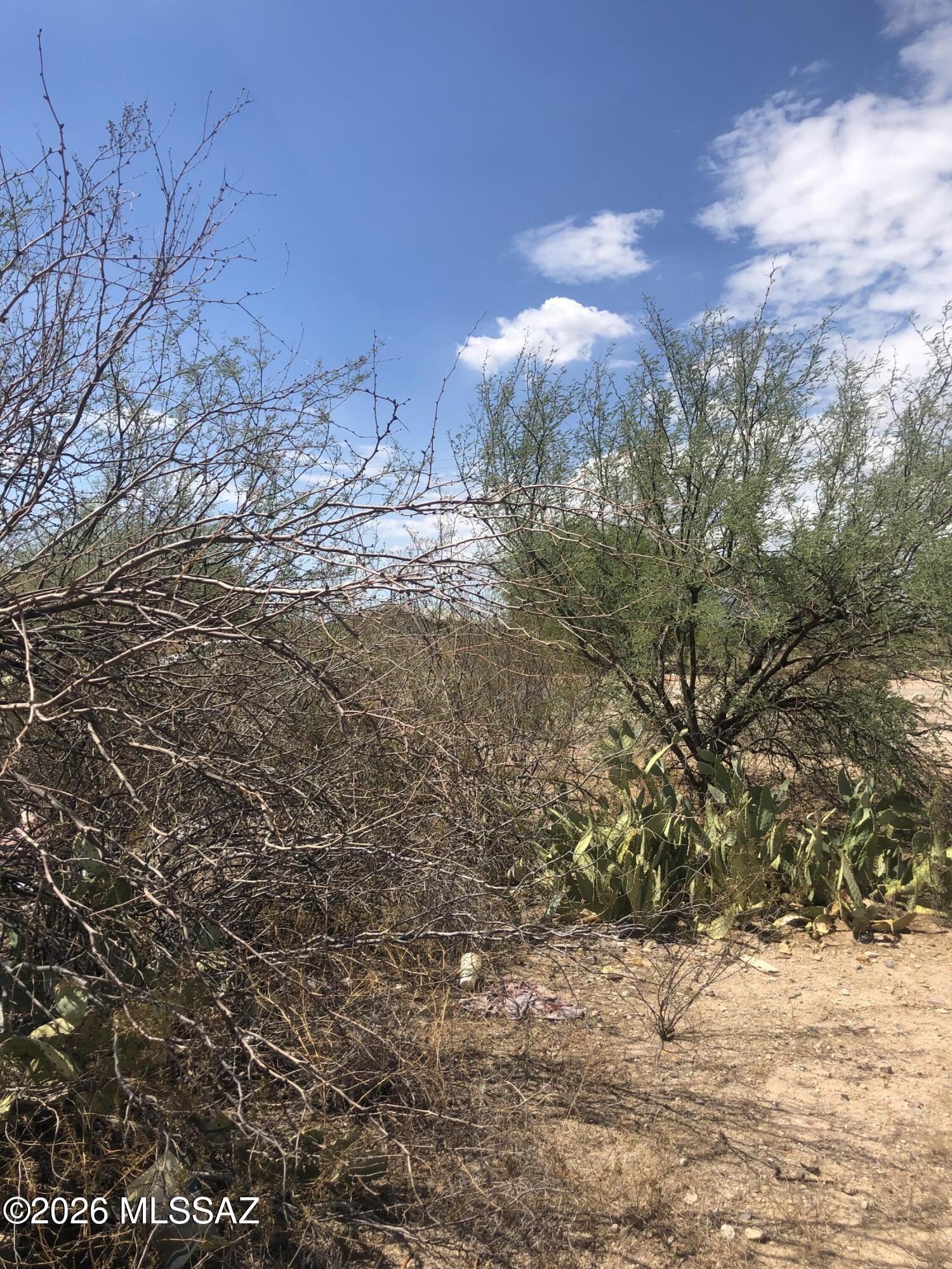 0 S Cattle Tank Road 0