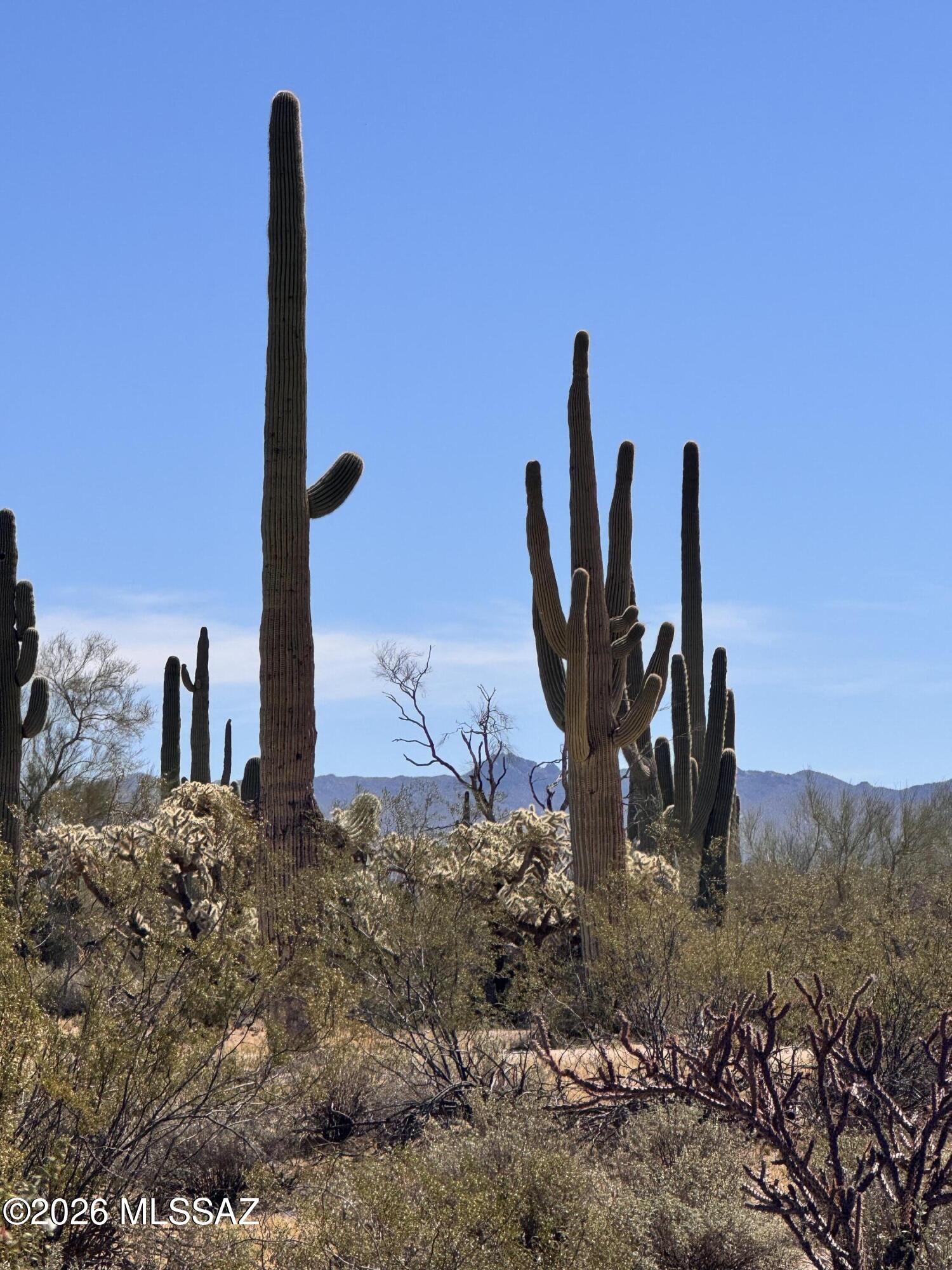 0 S Cattle Tank Road 0