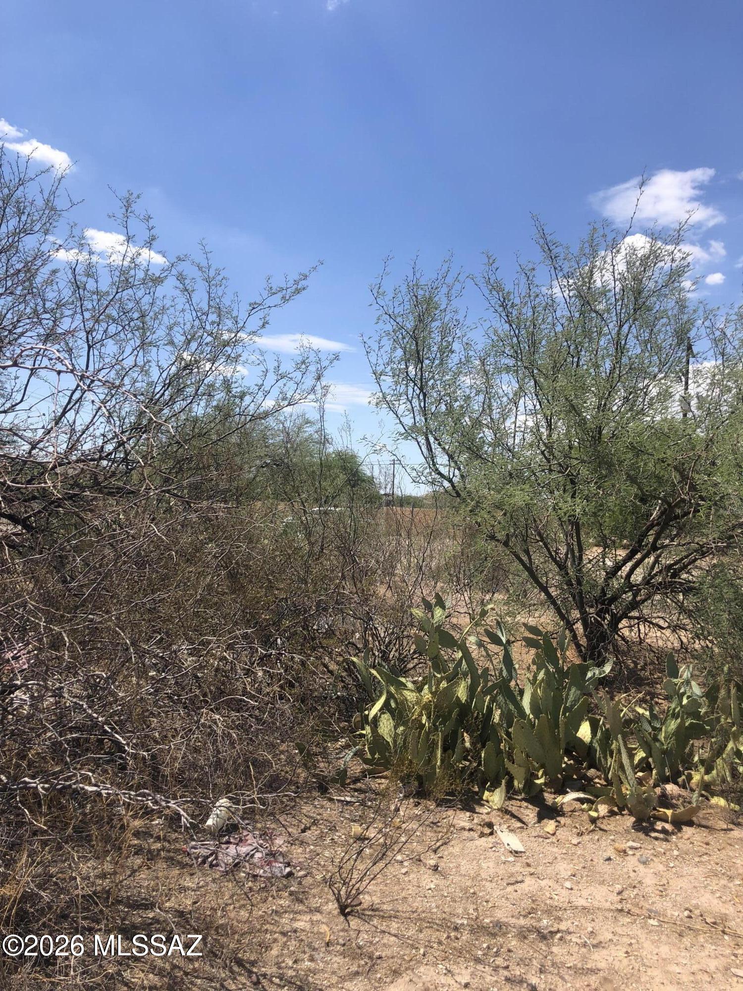 0 S Cattle Tank Road 0