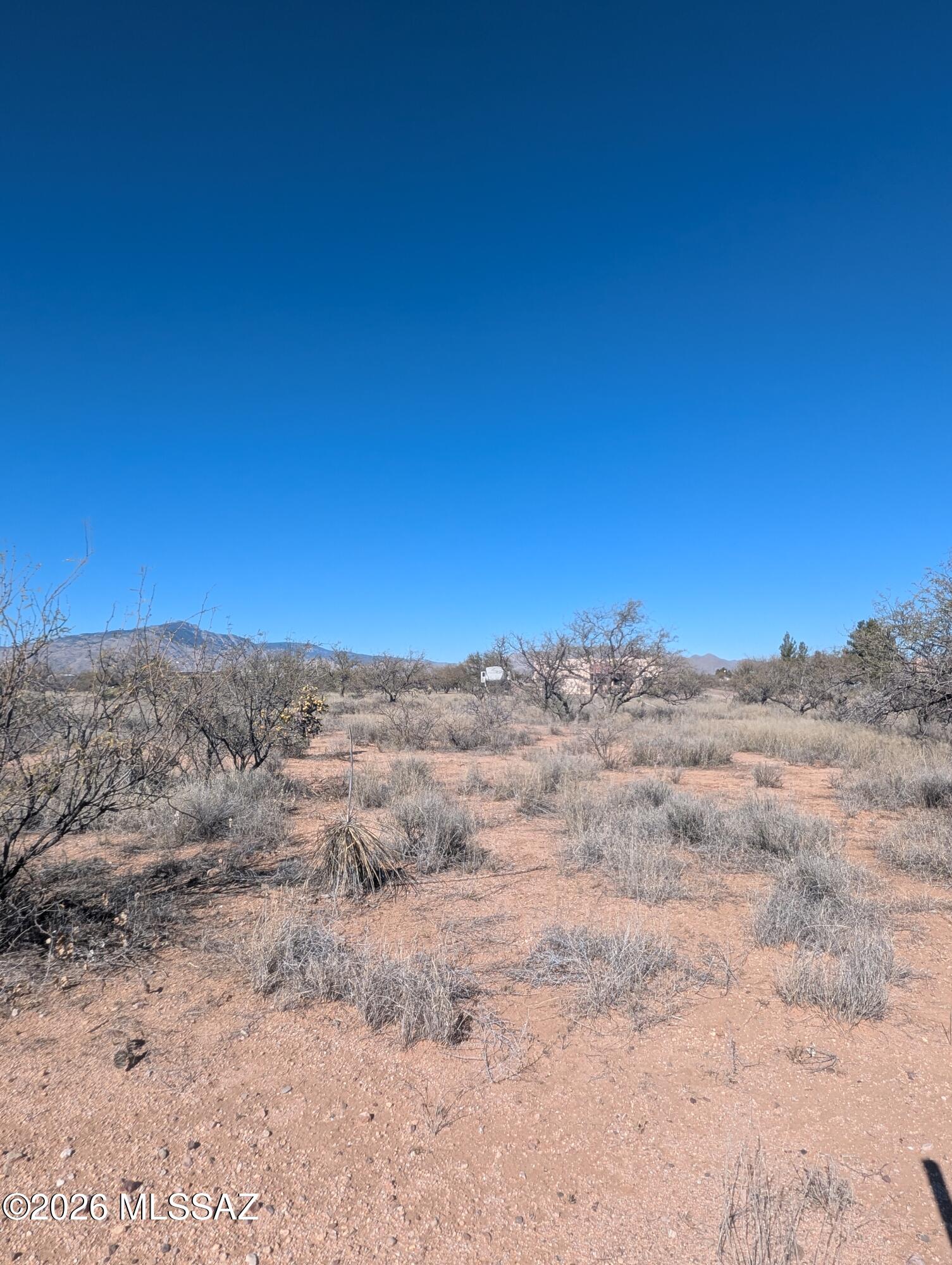 Mescal Lakes - Land