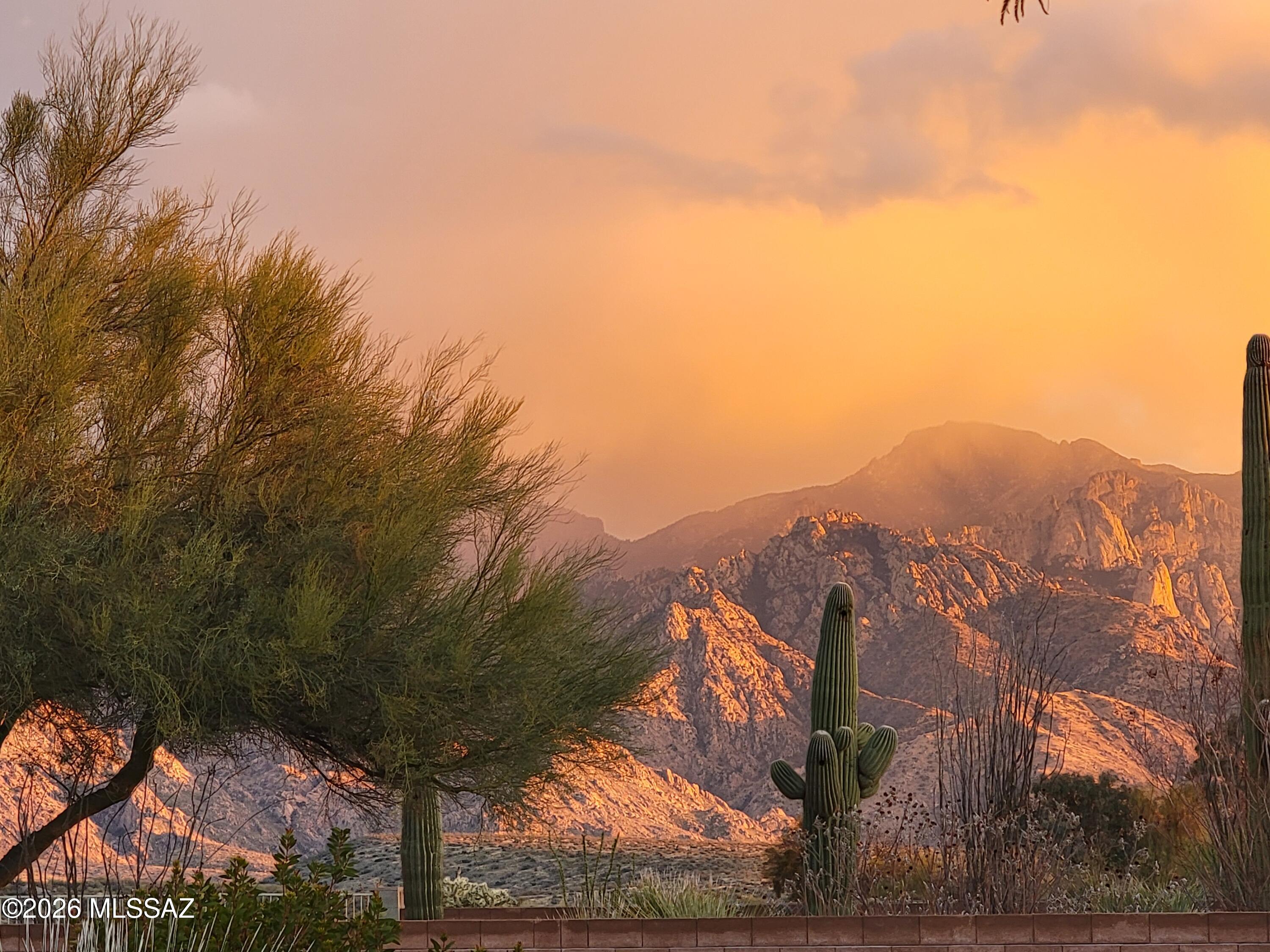 15142 N Rugged Lark Drive