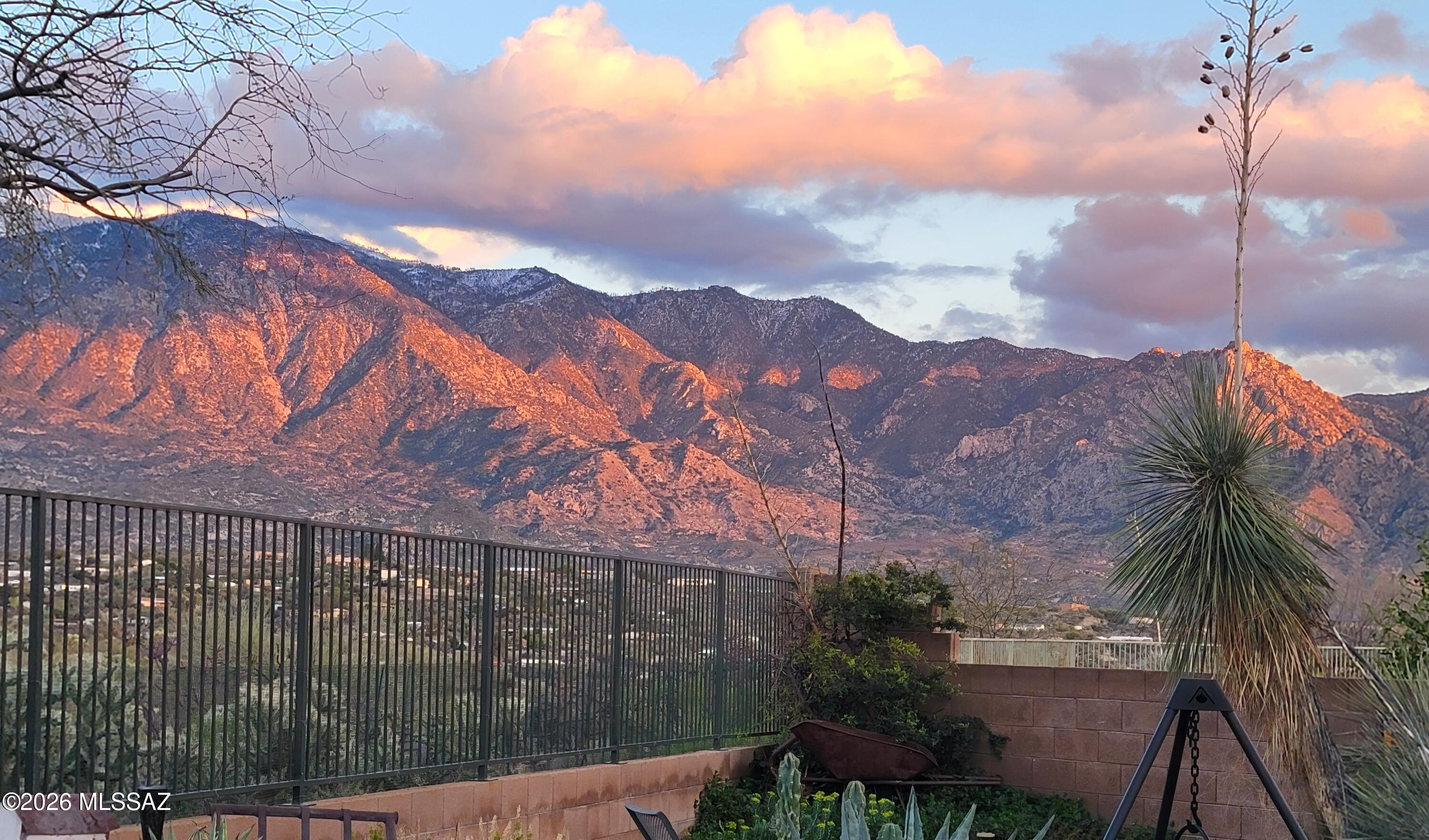 15142 N Rugged Lark Drive