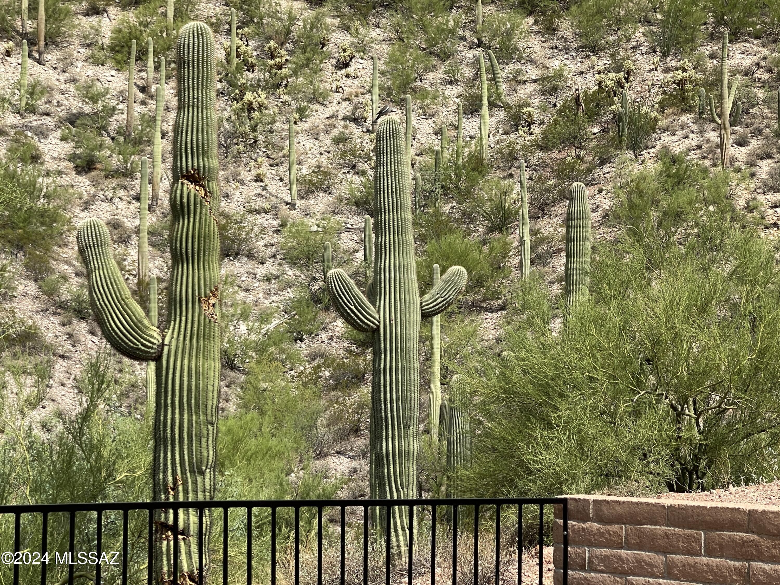The Foothills Clusters (373-569) - Residential Lease