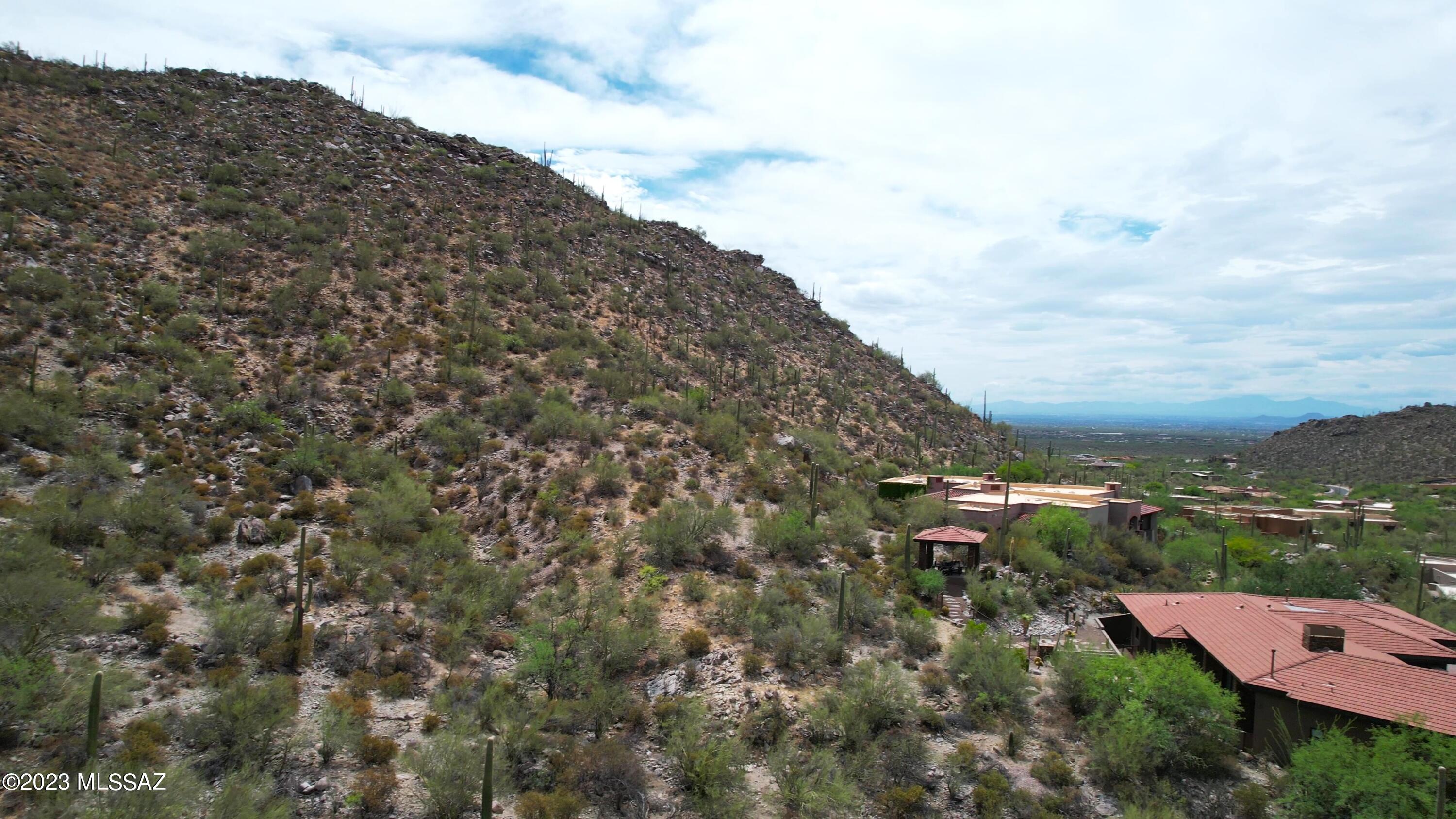Canyon Pass At Dove Mountain(1-48) - Land