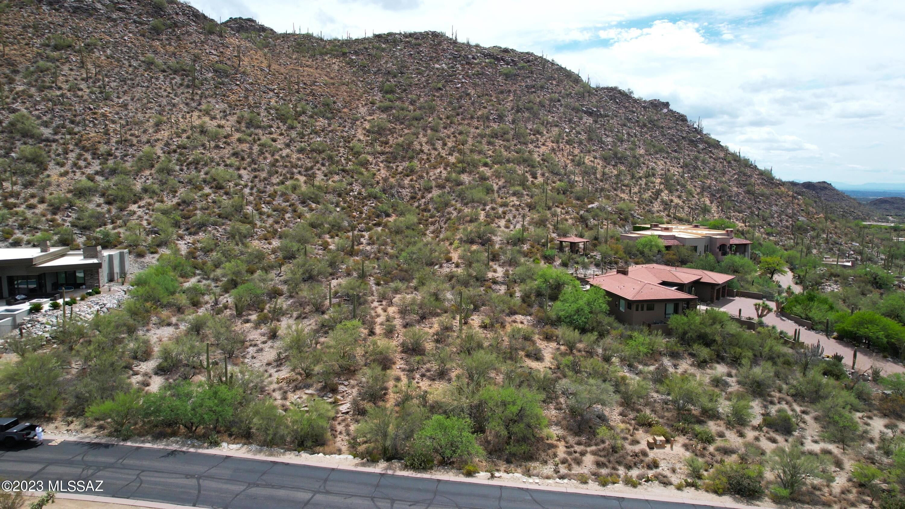 Canyon Pass At Dove Mountain(1-48) - Land